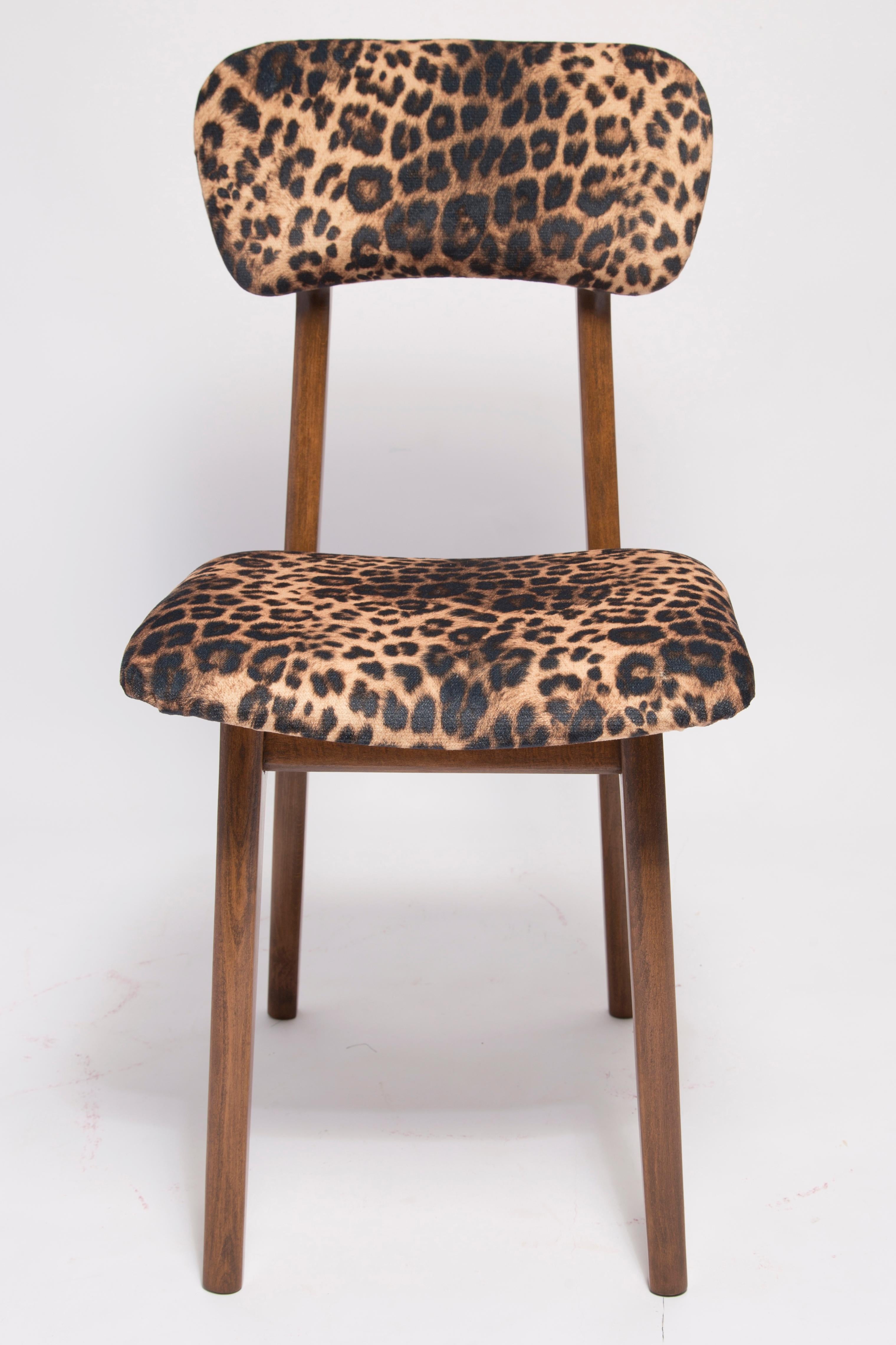 20th Century Six Mid Century Leopard Velvet Chairs, Walnut Wood, Rajmund Halas, Poland, 1960s For Sale