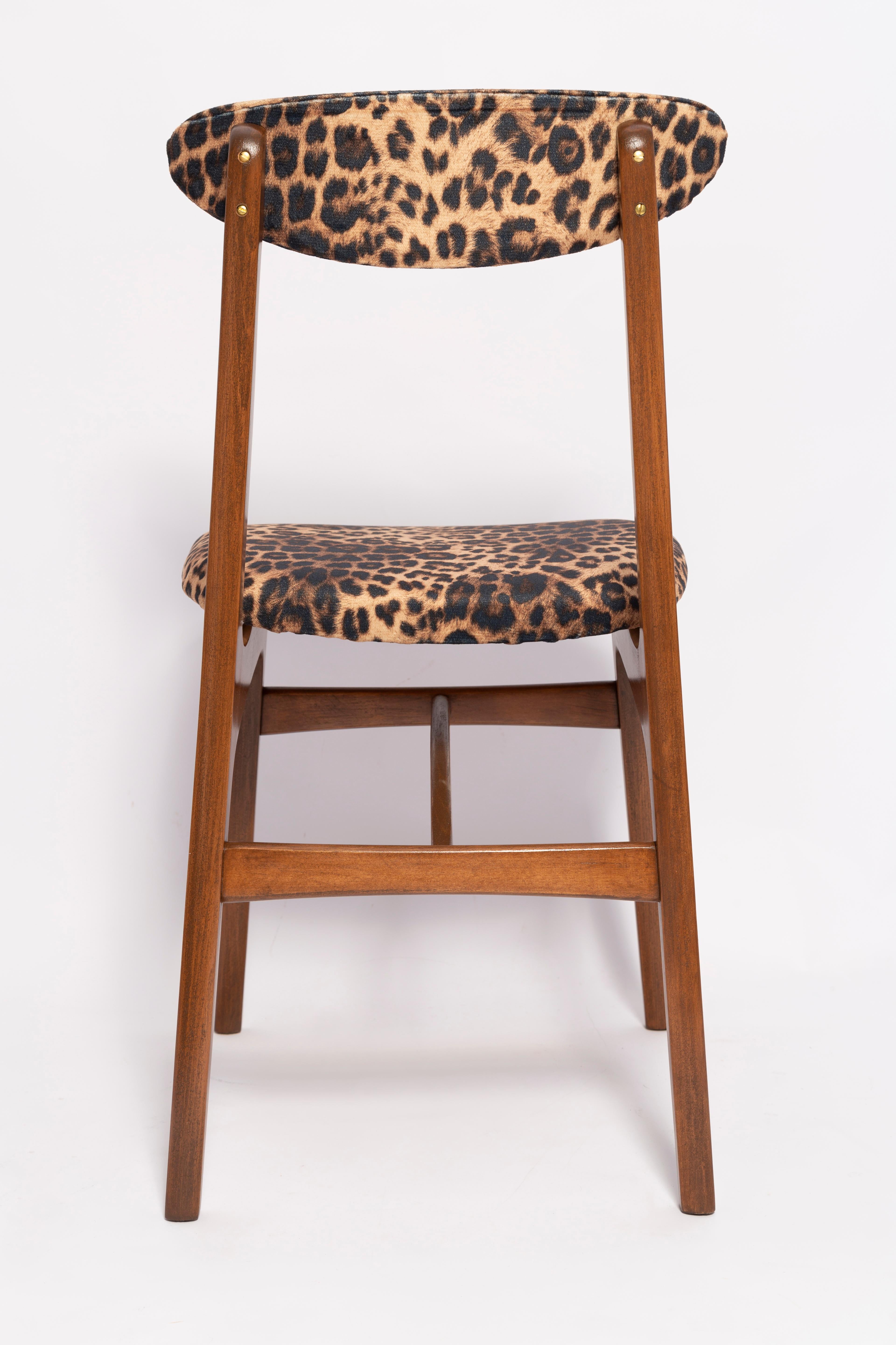 Six Mid-Century Leopard Velvet Chairs, Walnut Wood, Rajmund Halas, Poland, 1960s For Sale 2
