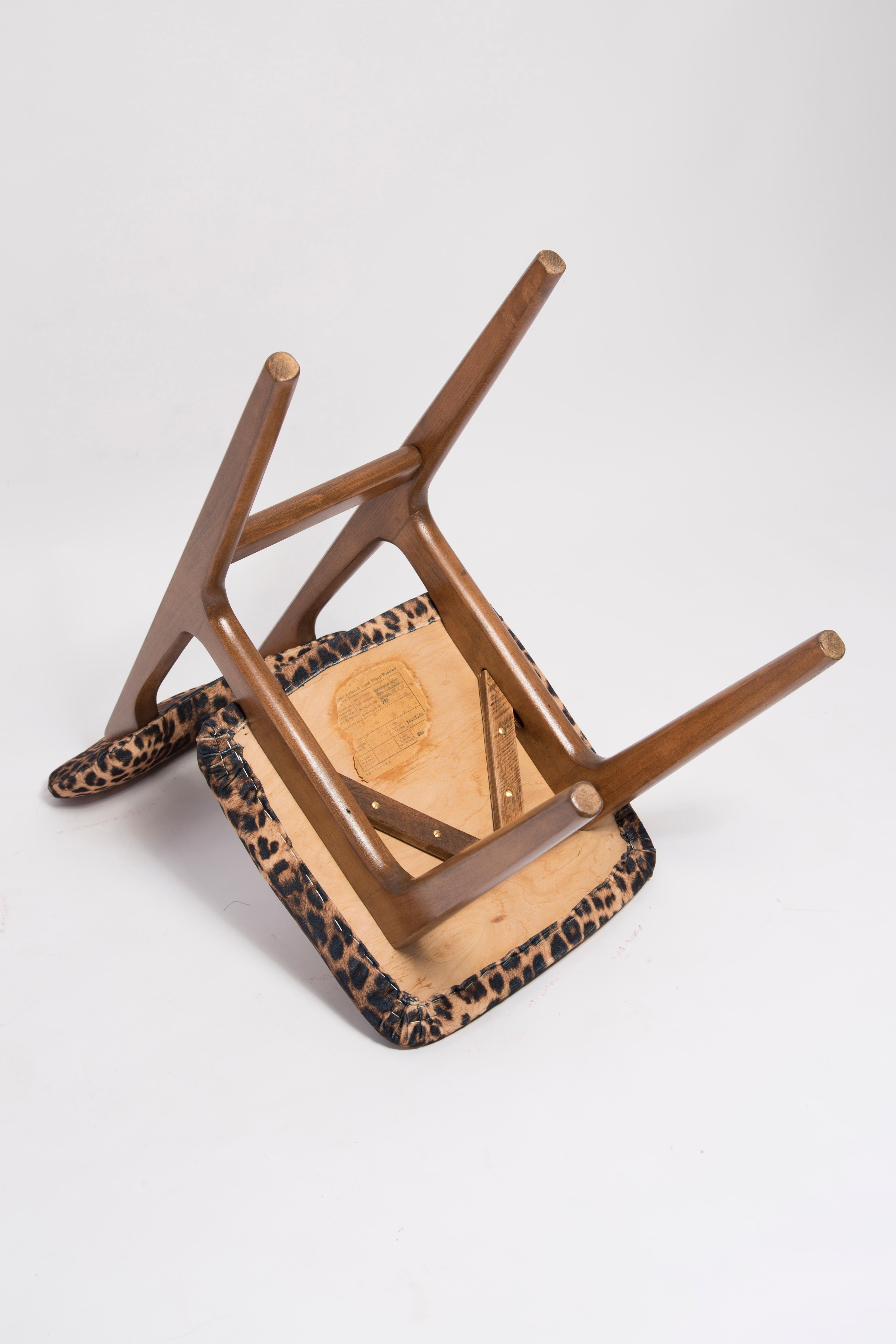 Six Mid Century Leopard Velvet Chairs, Walnut Wood, Rajmund Halas, Poland, 1960s For Sale 2