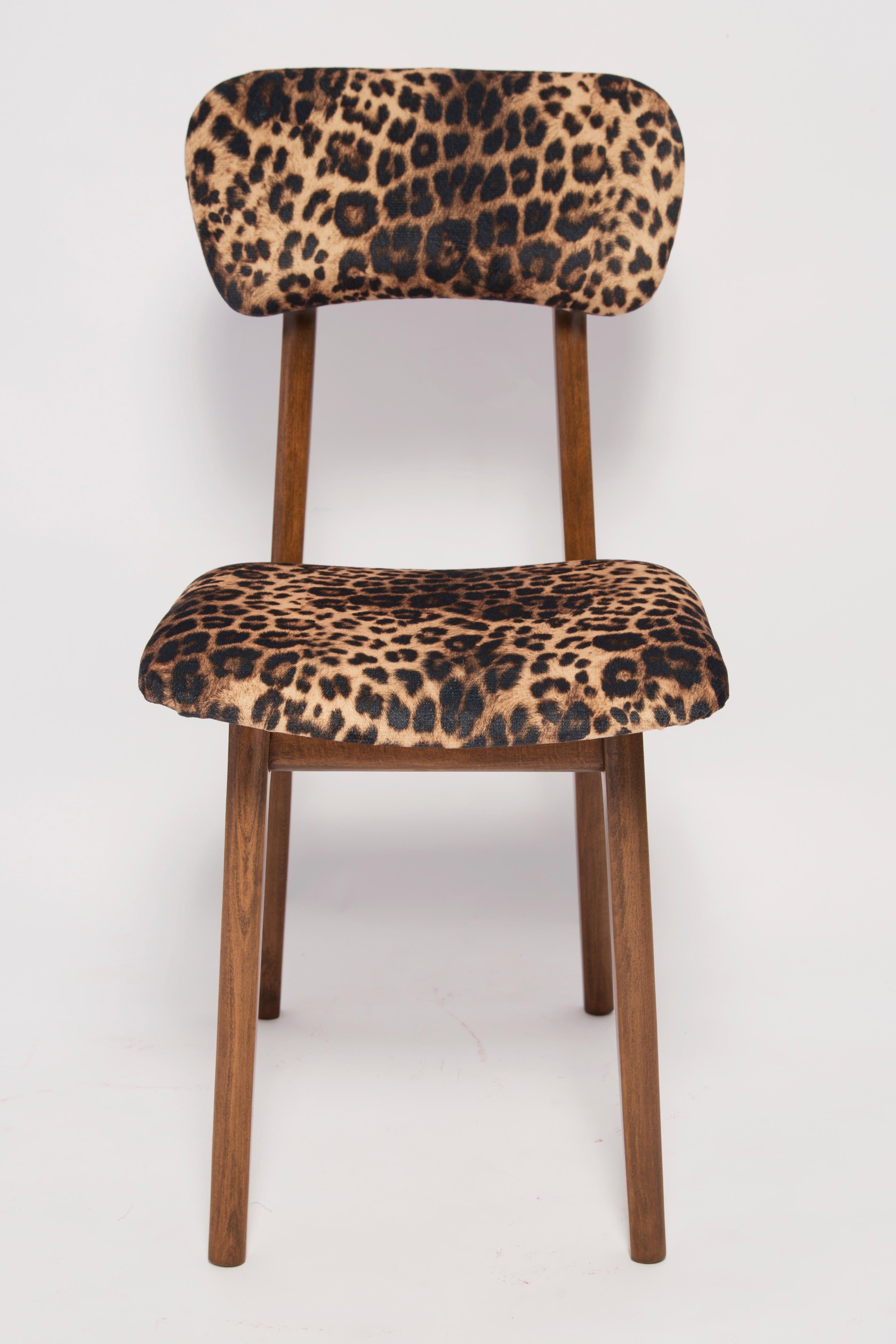 Chair designed by Prof. Rajmund Halas. Made of beechwood. Chair is after a complete upholstery renovation, the woodwork has been refreshed. Seat is dressed in leopard, durable and pleasant to the touch unique velvet fabric. Chair is stable and very