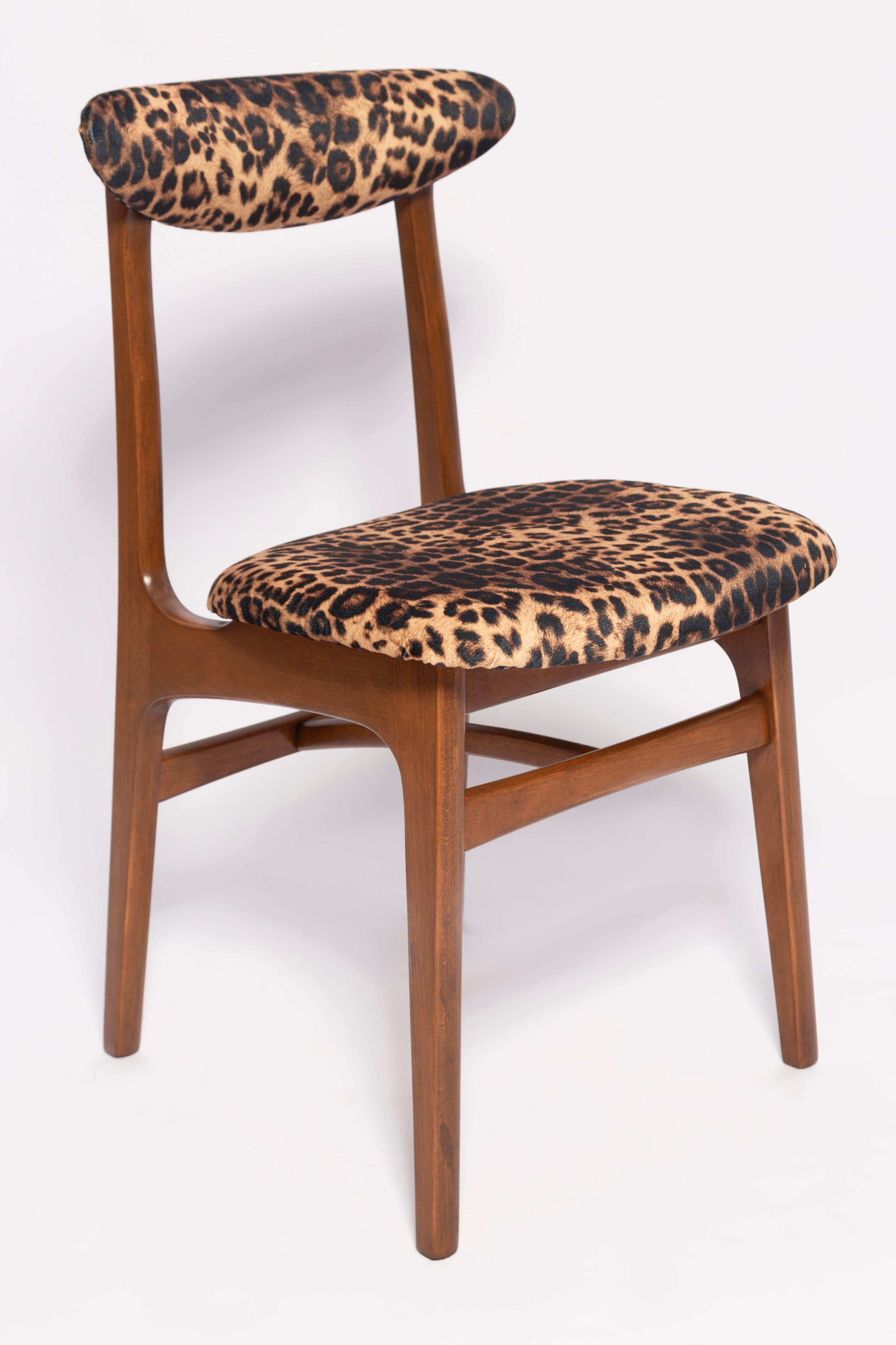 Chaise conçue par le professeur Rajmund Halas. Fabriqué en bois de hêtre. Le fauteuil a subi une rénovation complète de la tapisserie et les boiseries ont été rafraîchies. Le siège est habillé d'un tissu velours unique imprimé léopard, durable et