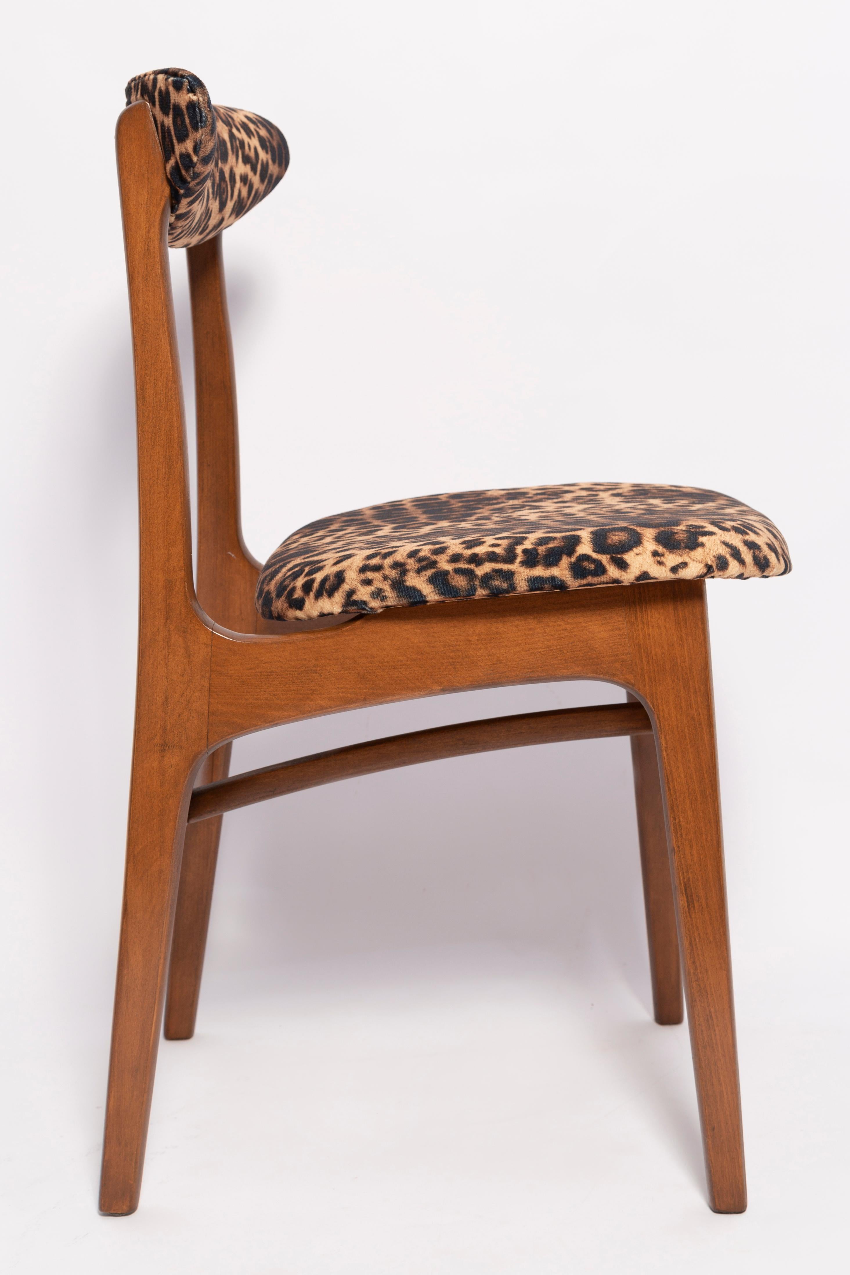 Mid-Century Modern Six chaises léopard du milieu du siècle en velours, bois de noyer, Rajmund Halas, Pologne, années 1960 en vente