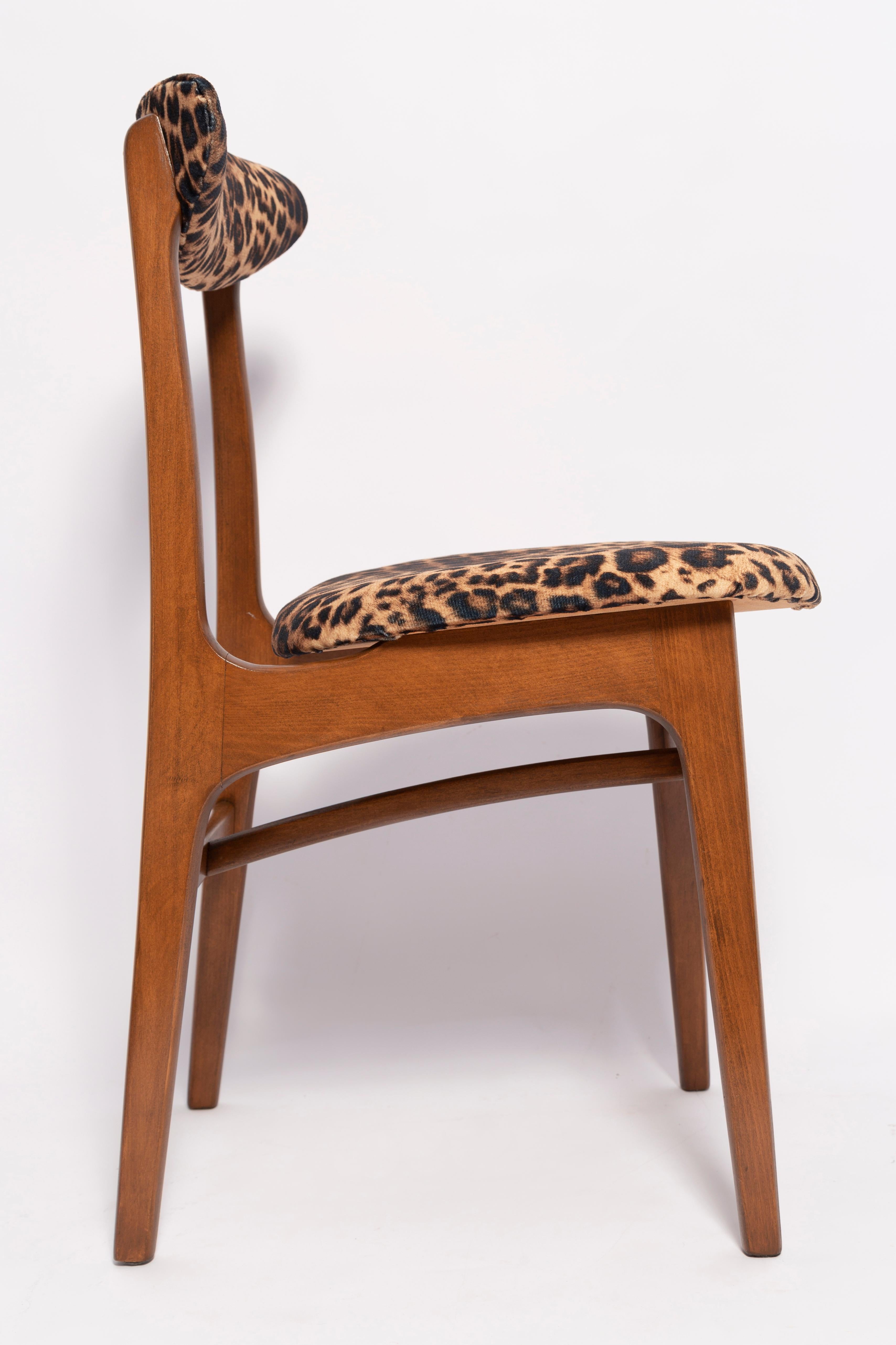 Mid-Century Modern Six Mid-Century Leopard Velvet Chairs, Walnut Wood, Rajmund Halas, Poland, 1960s For Sale