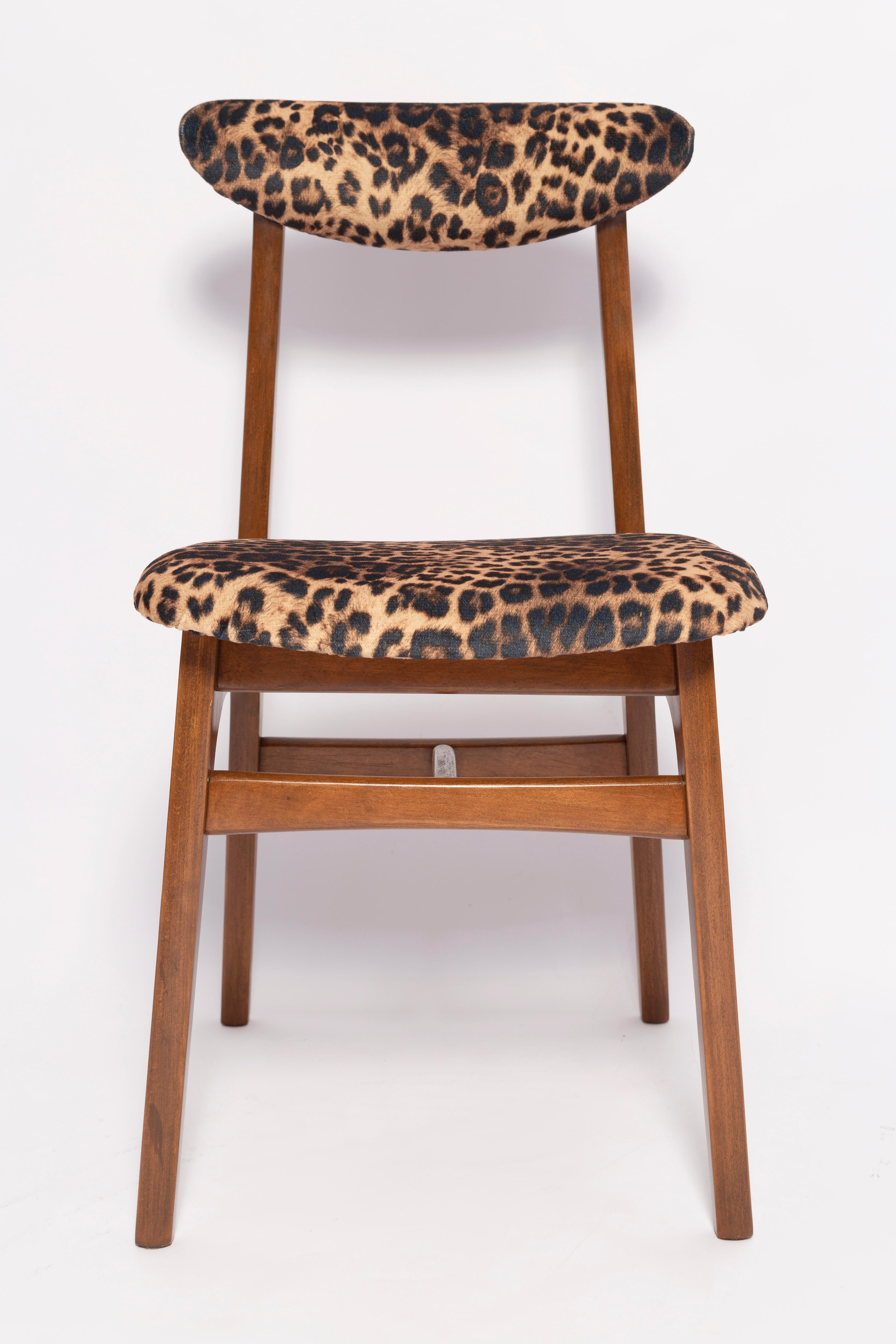 Polish Six Mid-Century Leopard Velvet Chairs, Walnut Wood, Rajmund Halas, Poland, 1960s For Sale