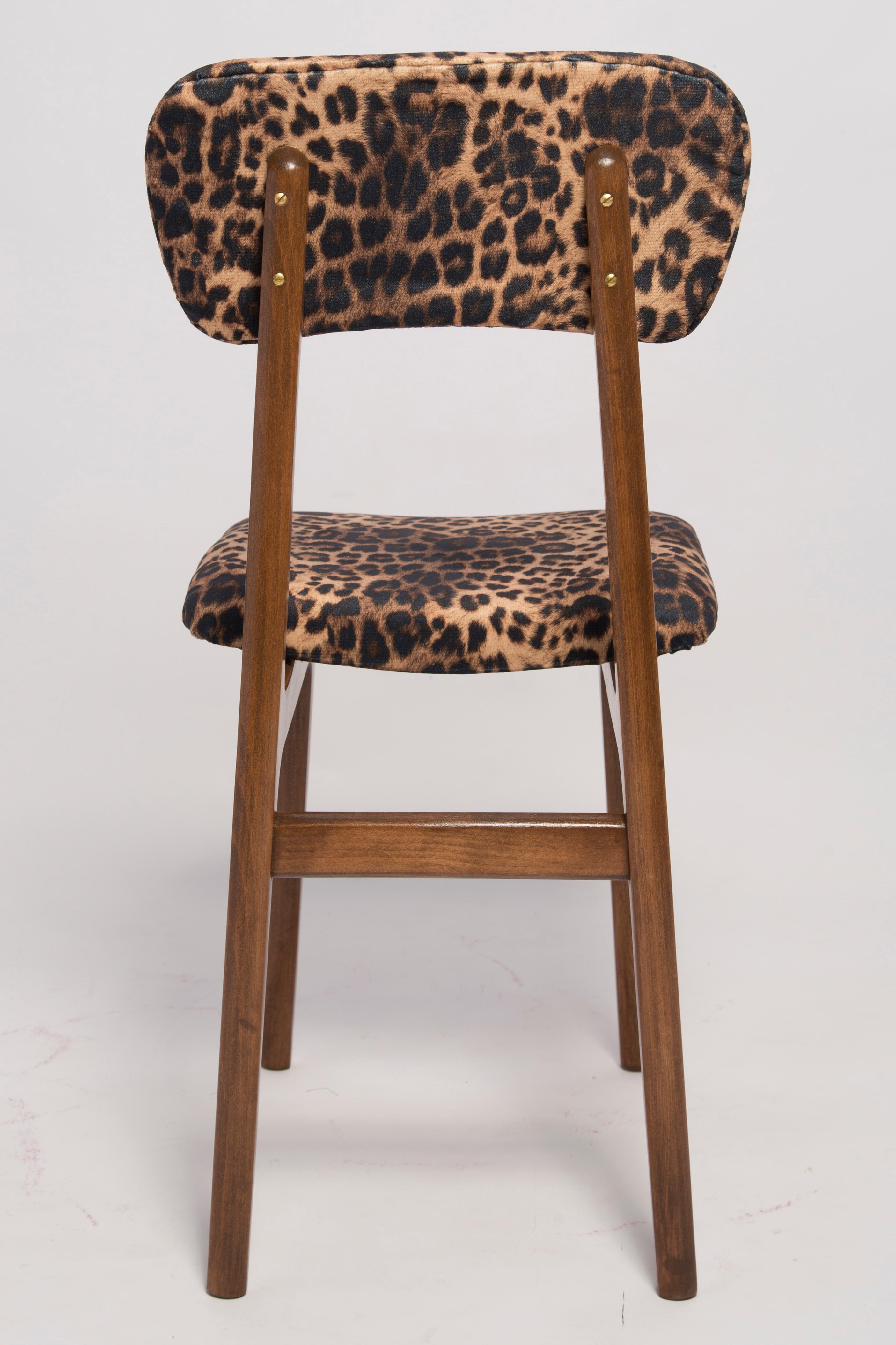 Mid-Century Modern Six Mid Century Leopard Velvet Chairs, Walnut Wood, Rajmund Halas, Poland, 1960s For Sale