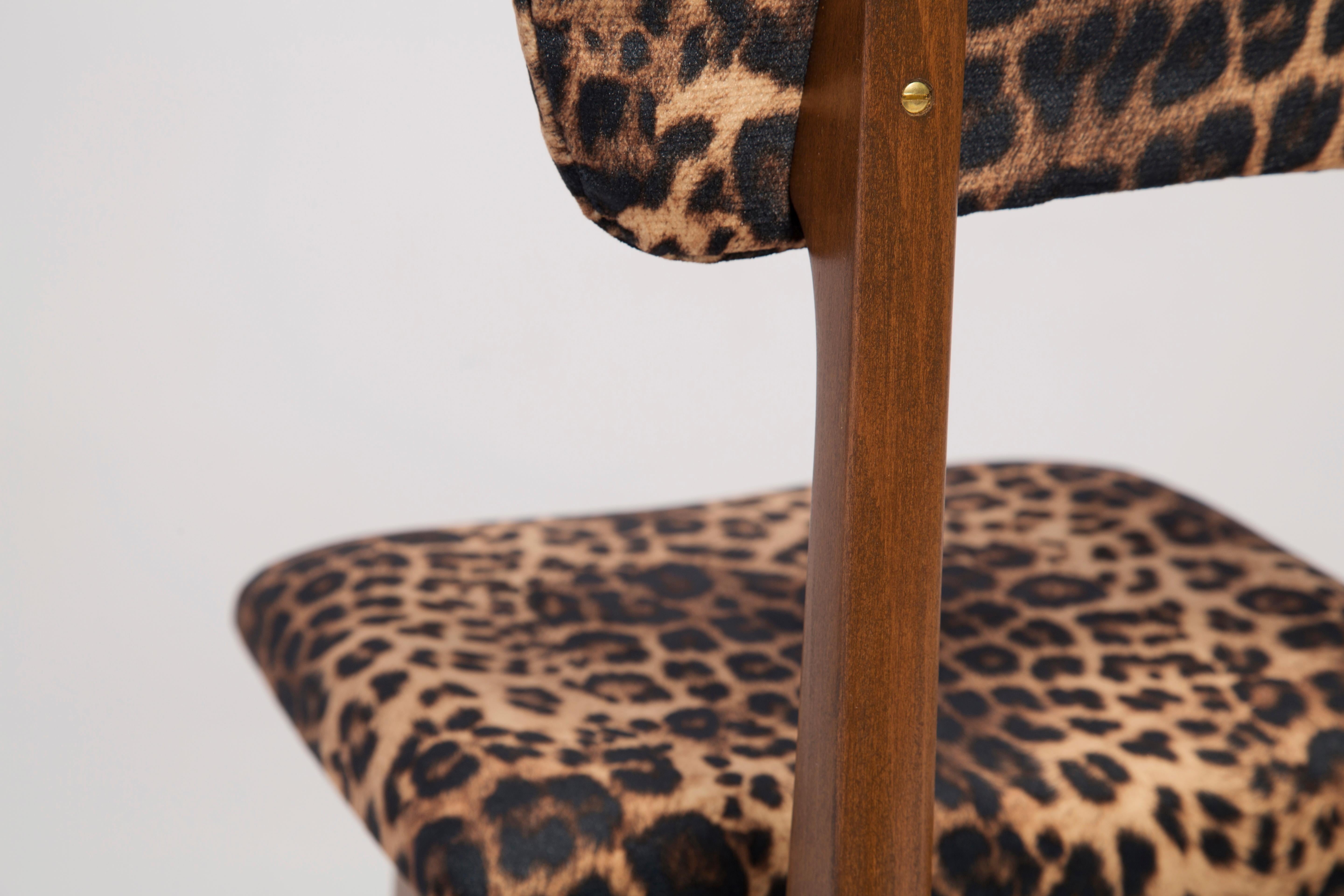 Hand-Crafted Six Mid Century Leopard Velvet Chairs, Walnut Wood, Rajmund Halas, Poland, 1960s For Sale