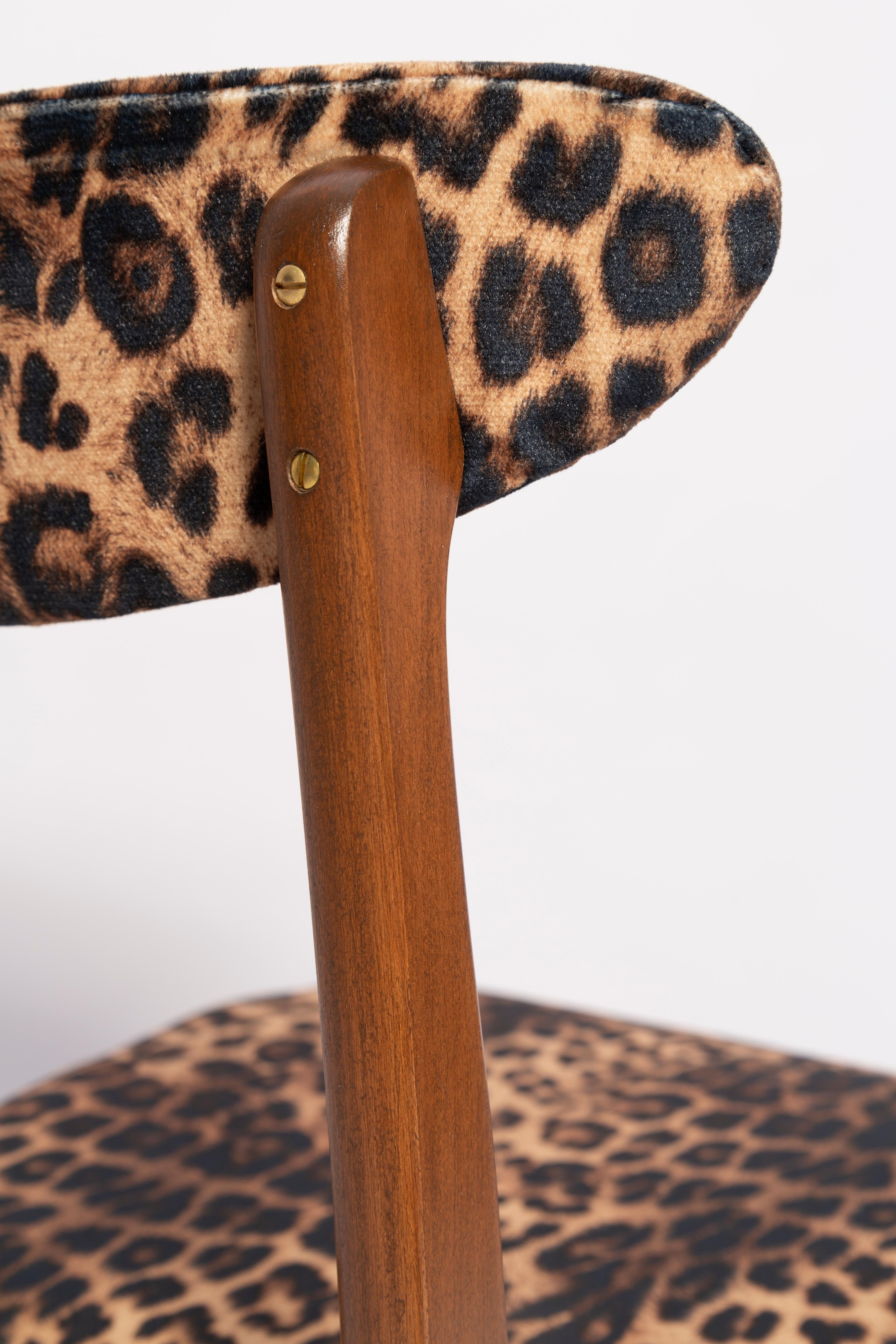 20th Century Six Mid-Century Leopard Velvet Chairs, Walnut Wood, Rajmund Halas, Poland, 1960s For Sale