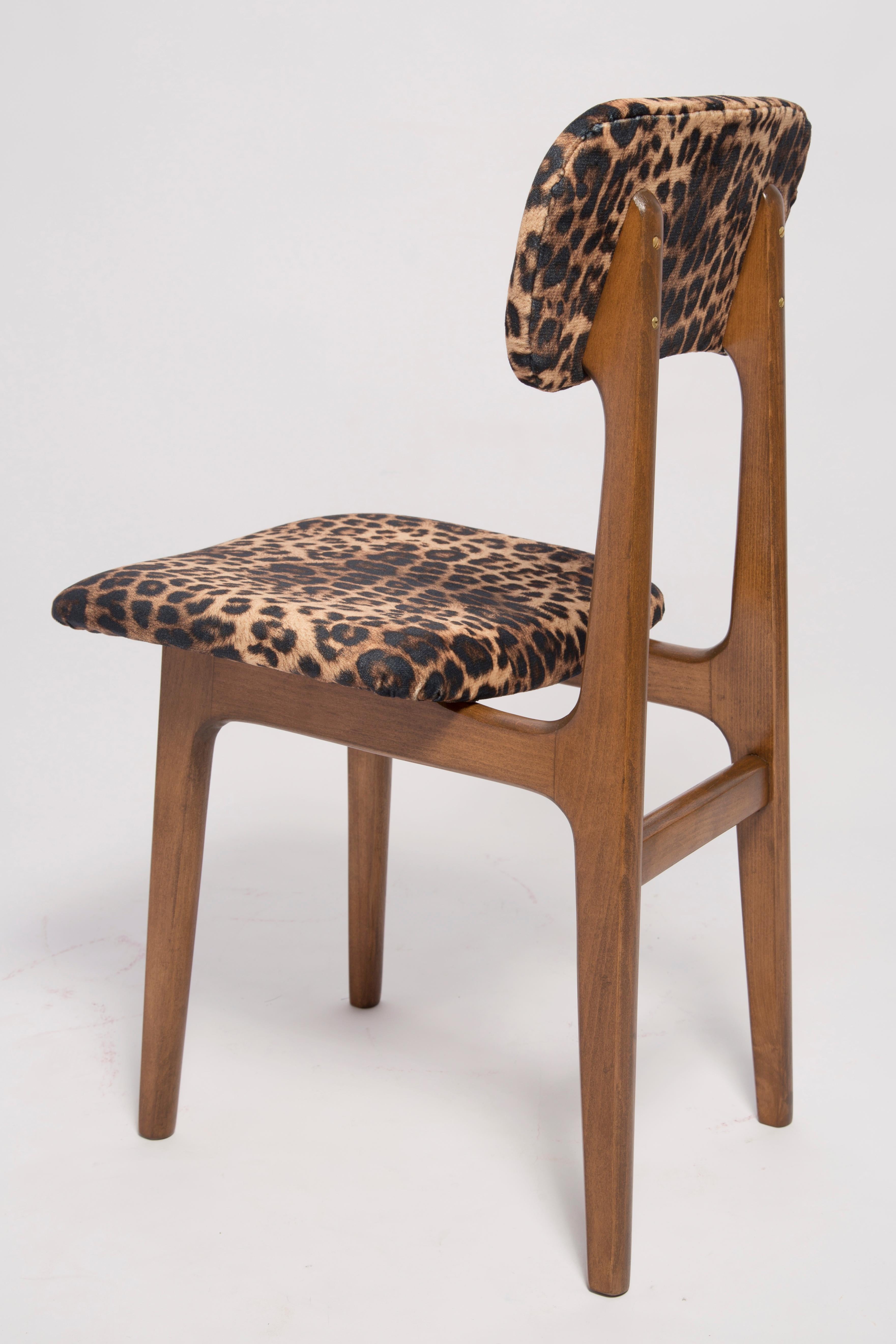 Six Mid Century Leopard Velvet Chairs, Walnut Wood, Rajmund Halas, Poland, 1960s In Excellent Condition For Sale In 05-080 Hornowek, PL