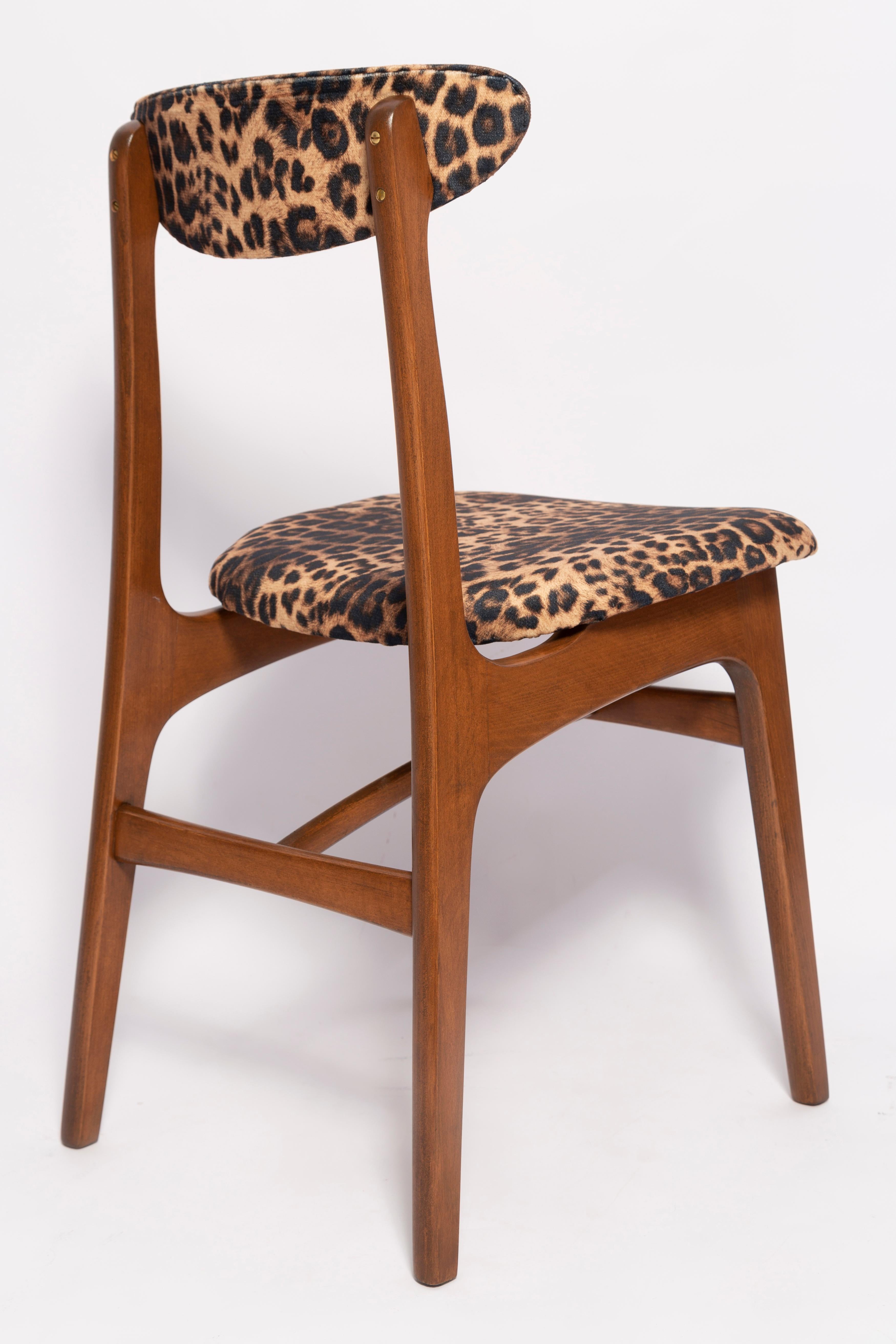 Six Mid-Century Leopard Velvet Chairs, Walnut Wood, Rajmund Halas, Poland, 1960s For Sale 1