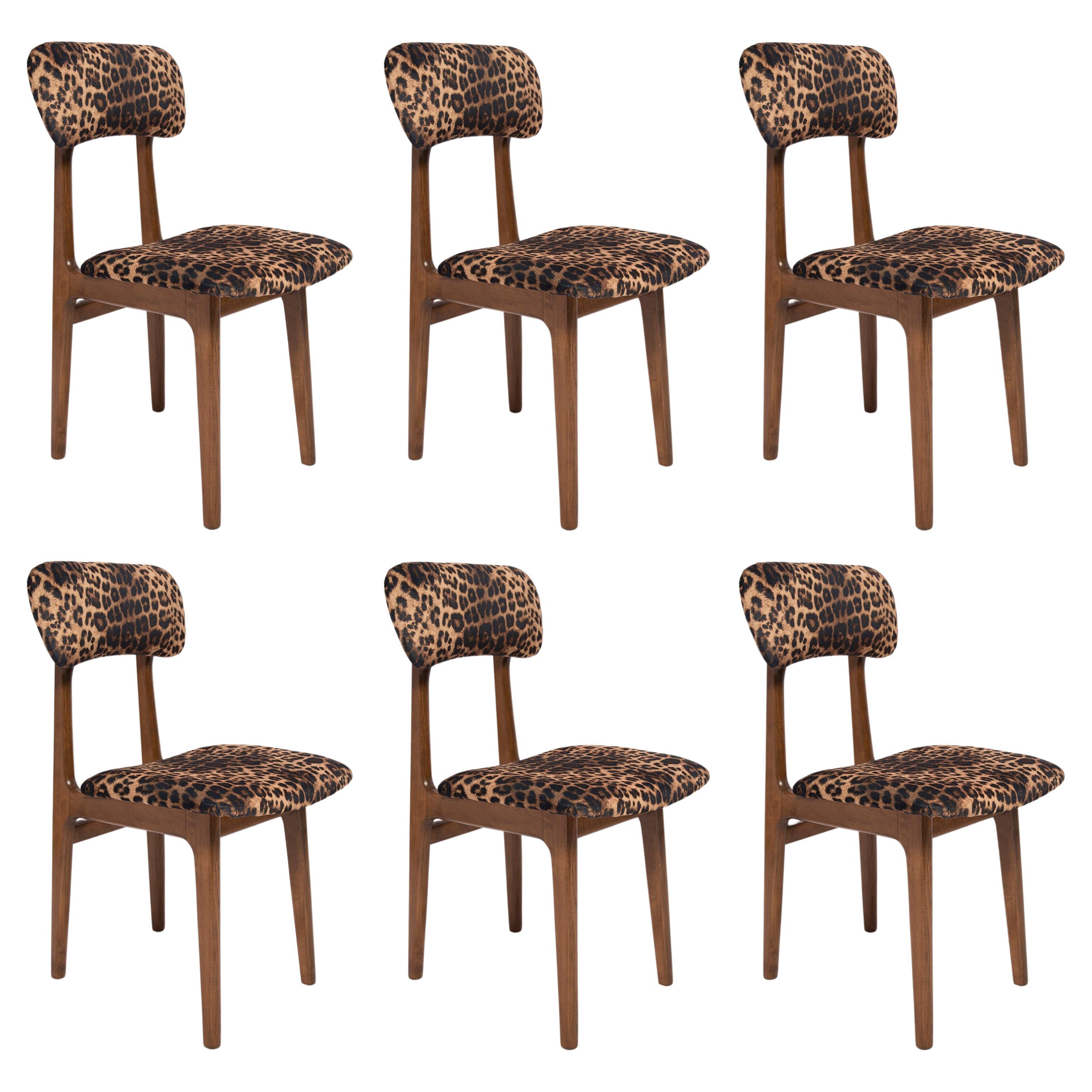 Six Mid Century Leopard Velvet Chairs, Walnut Wood, Rajmund Halas, Poland, 1960s For Sale