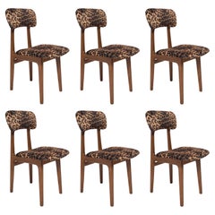 Vintage Six Mid Century Leopard Velvet Chairs, Walnut Wood, Rajmund Halas, Poland, 1960s