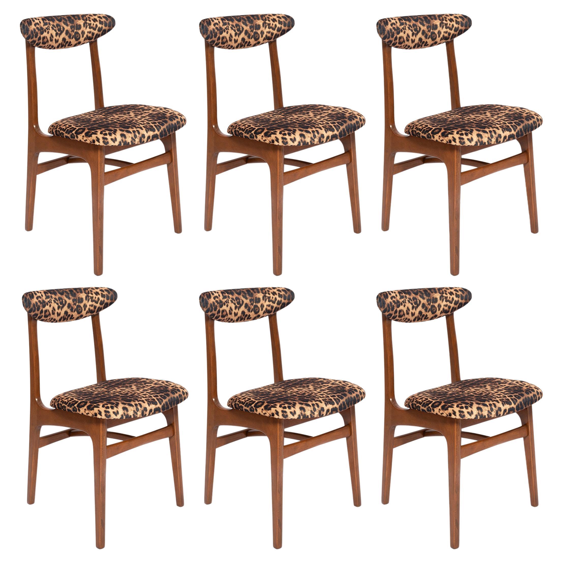 Six Mid-Century Leopard Velvet Chairs, Walnut Wood, Rajmund Halas, Poland, 1960s For Sale