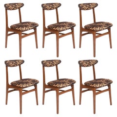 Vintage Six Mid-Century Leopard Velvet Chairs, Walnut Wood, Rajmund Halas, Poland, 1960s