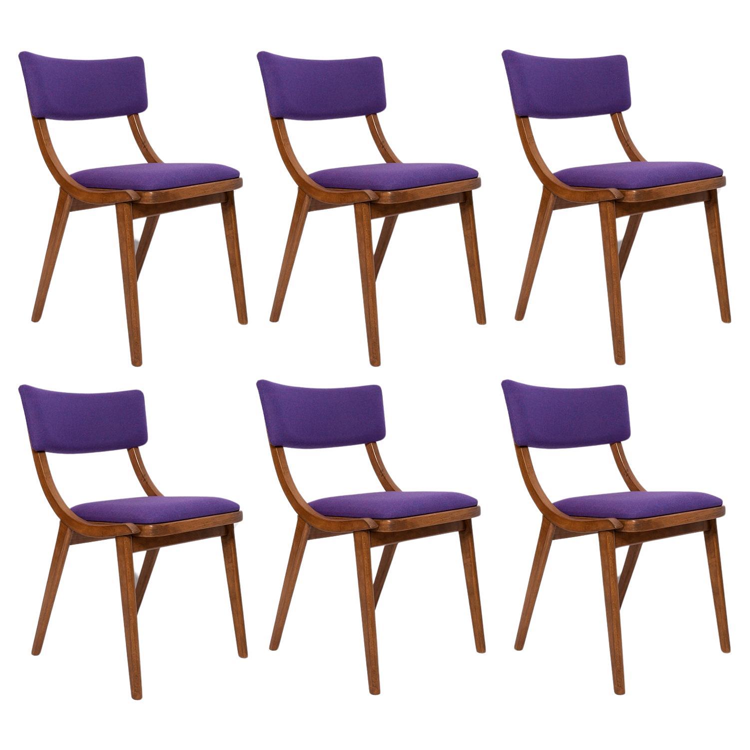 Six Mid Century Modern Bumerang Chairs, Purple Violet Wool, Poland, 1960s For Sale