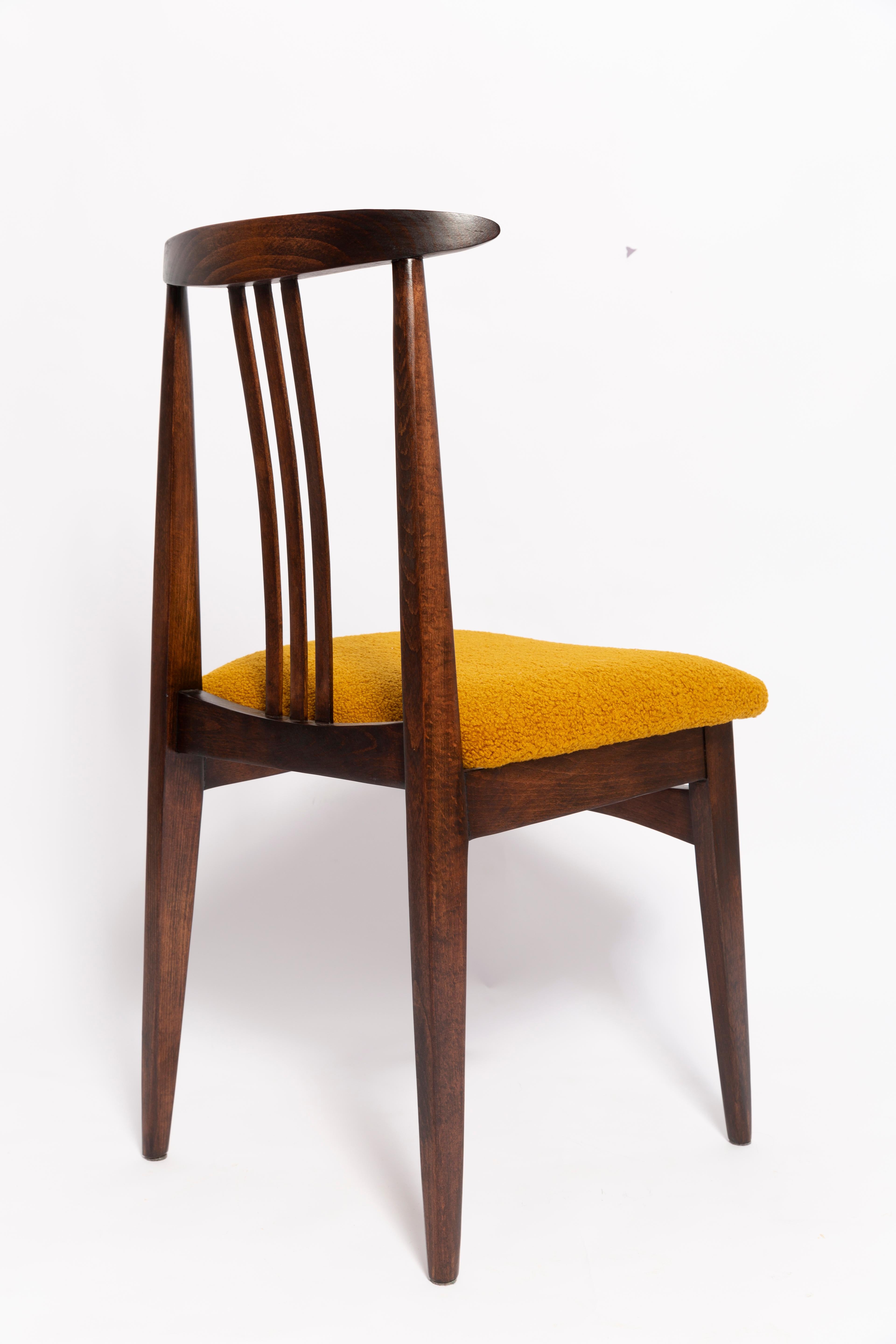 Polish Six Mid-Century Ochre Boucle Chairs, Walnut Wood, M. Zielinski, Europe 1960s For Sale