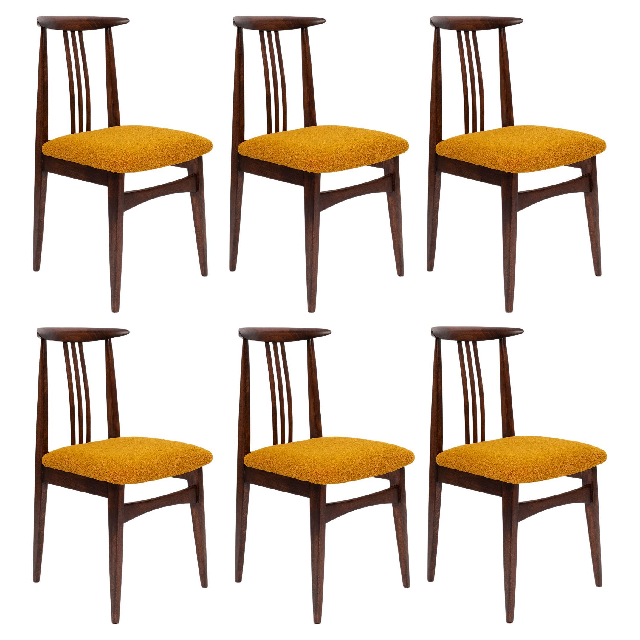 Six Mid-Century Ochre Boucle Chairs, Walnut Wood, M. Zielinski, Europe 1960s For Sale