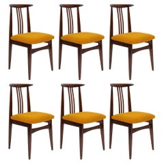 Six Mid-Century Ochre Boucle Chairs, Walnut Wood, M. Zielinski, Europe 1960s