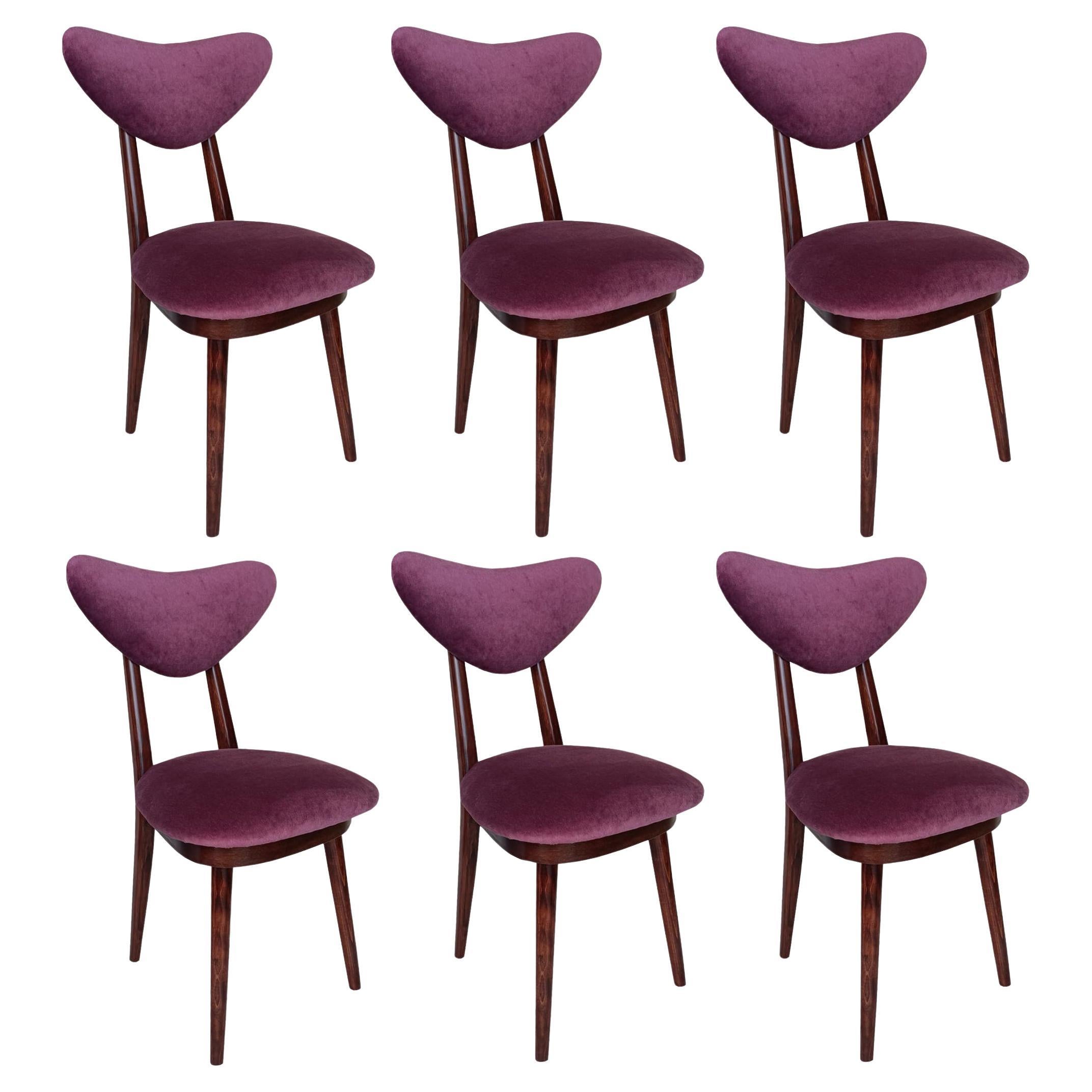 Six Mid Century Plum Purple Velvet, Walnut Wood, Heart Chairs, Poland, 1960s