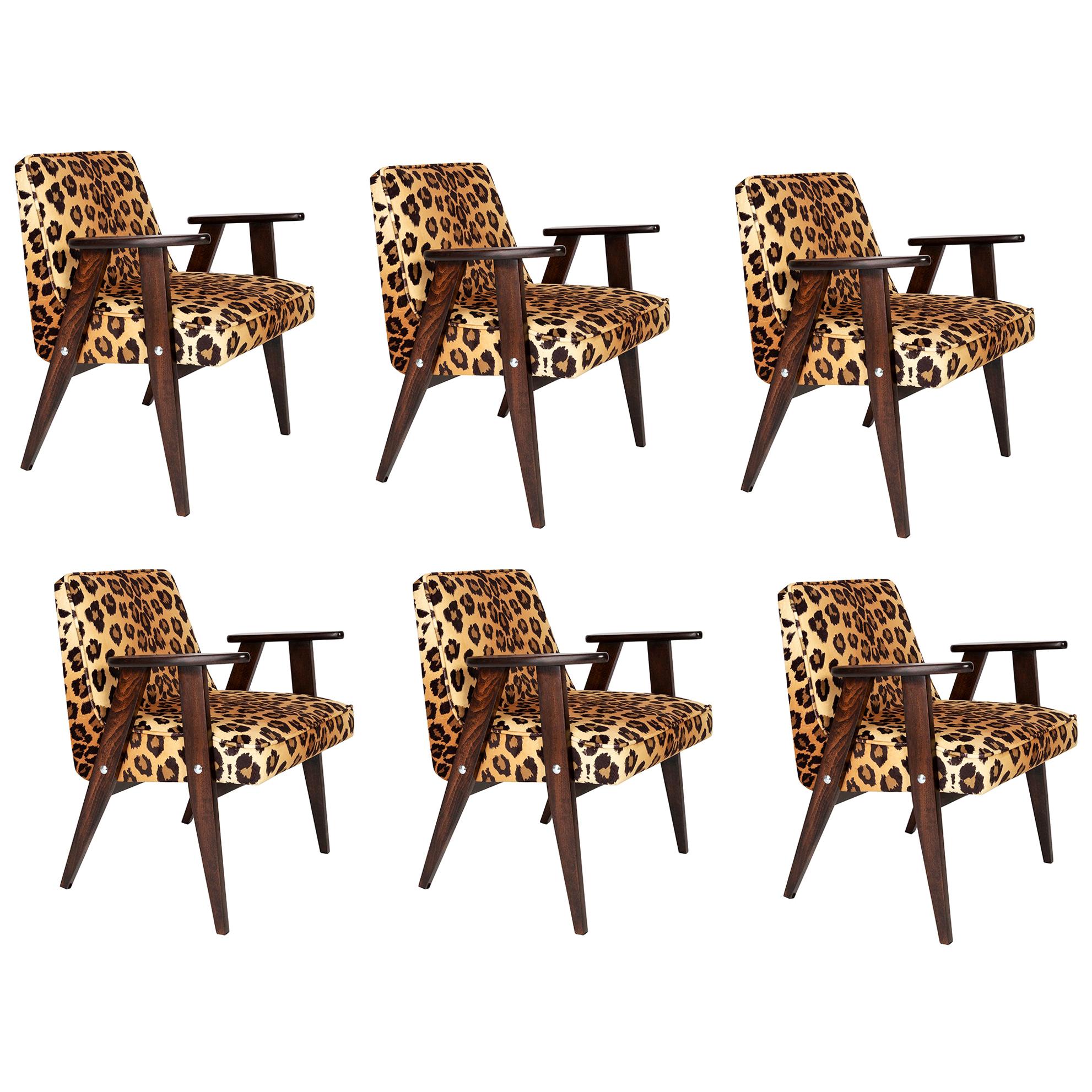 Six Midcentury 366 Armchairs in Leopard Print Velvet, Jozef Chierowski, 1960s For Sale