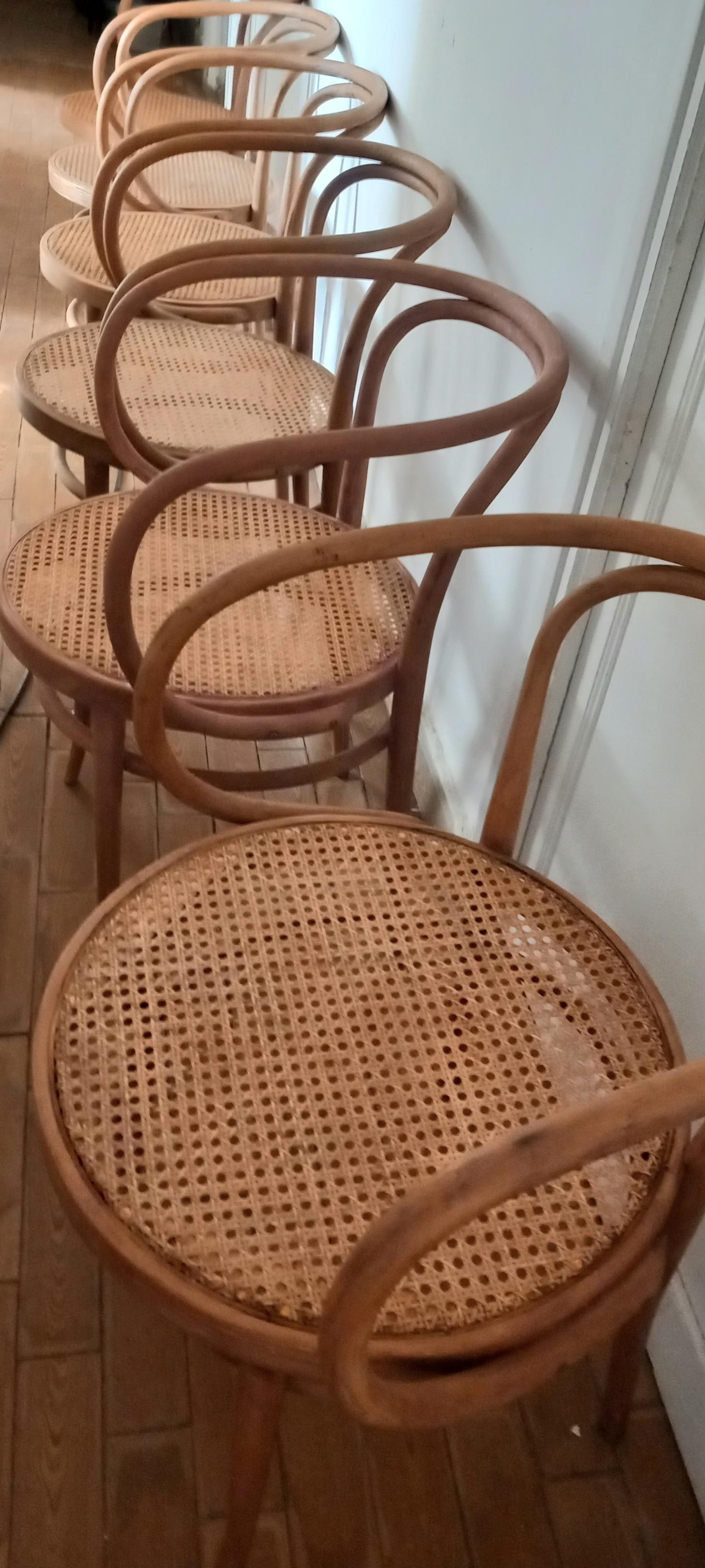 Six Midcentury Cane Bentwood Chair After Thonet 209, 1950s For Sale 2