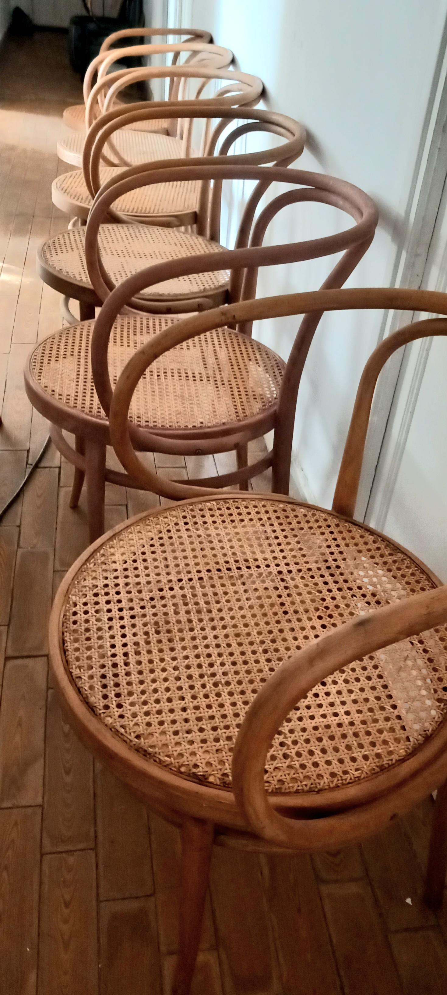 Six Midcentury Cane Bentwood Chair After Thonet 209, 1950s For Sale 4