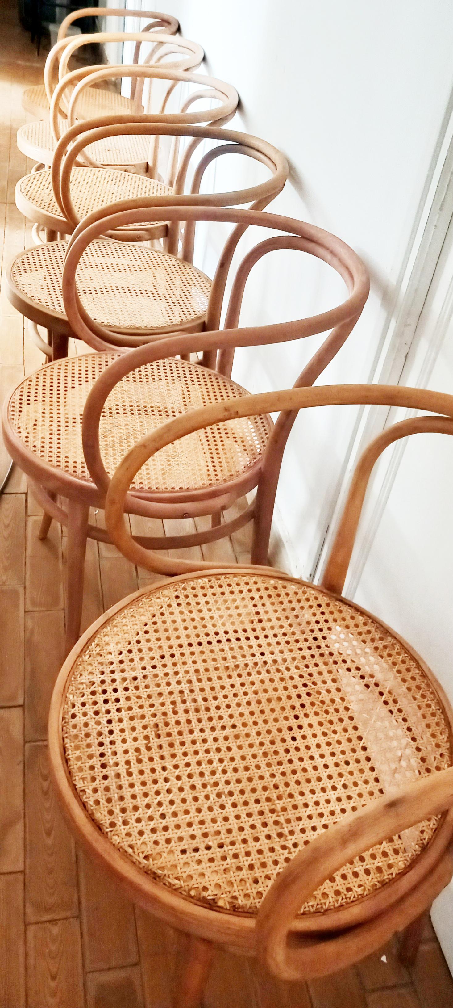 Mid-Century Modern Six Midcentury Cane Bentwood Chair After Thonet 209, 1950s For Sale