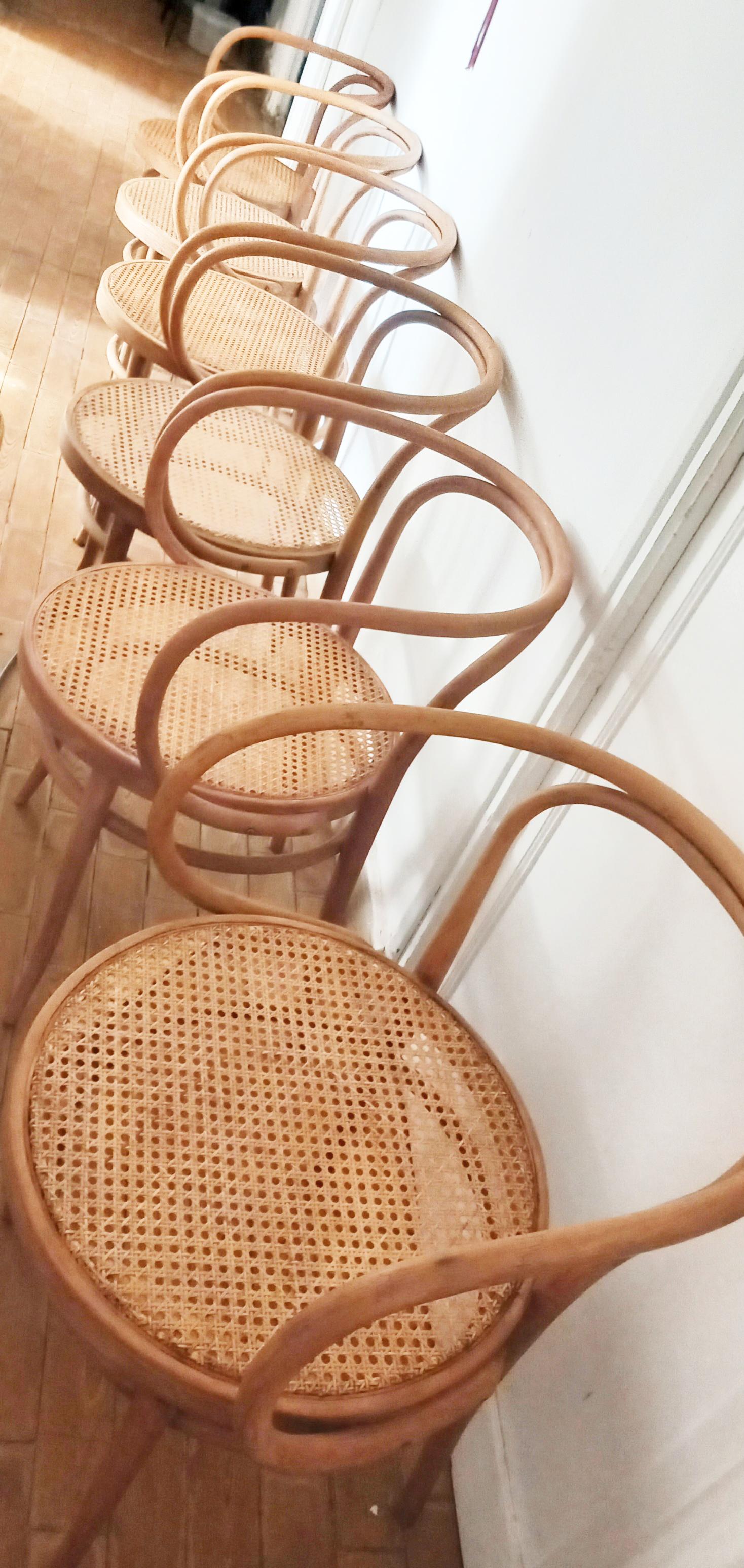 Czech Six Midcentury Cane Bentwood Chair After Thonet 209, 1950s For Sale