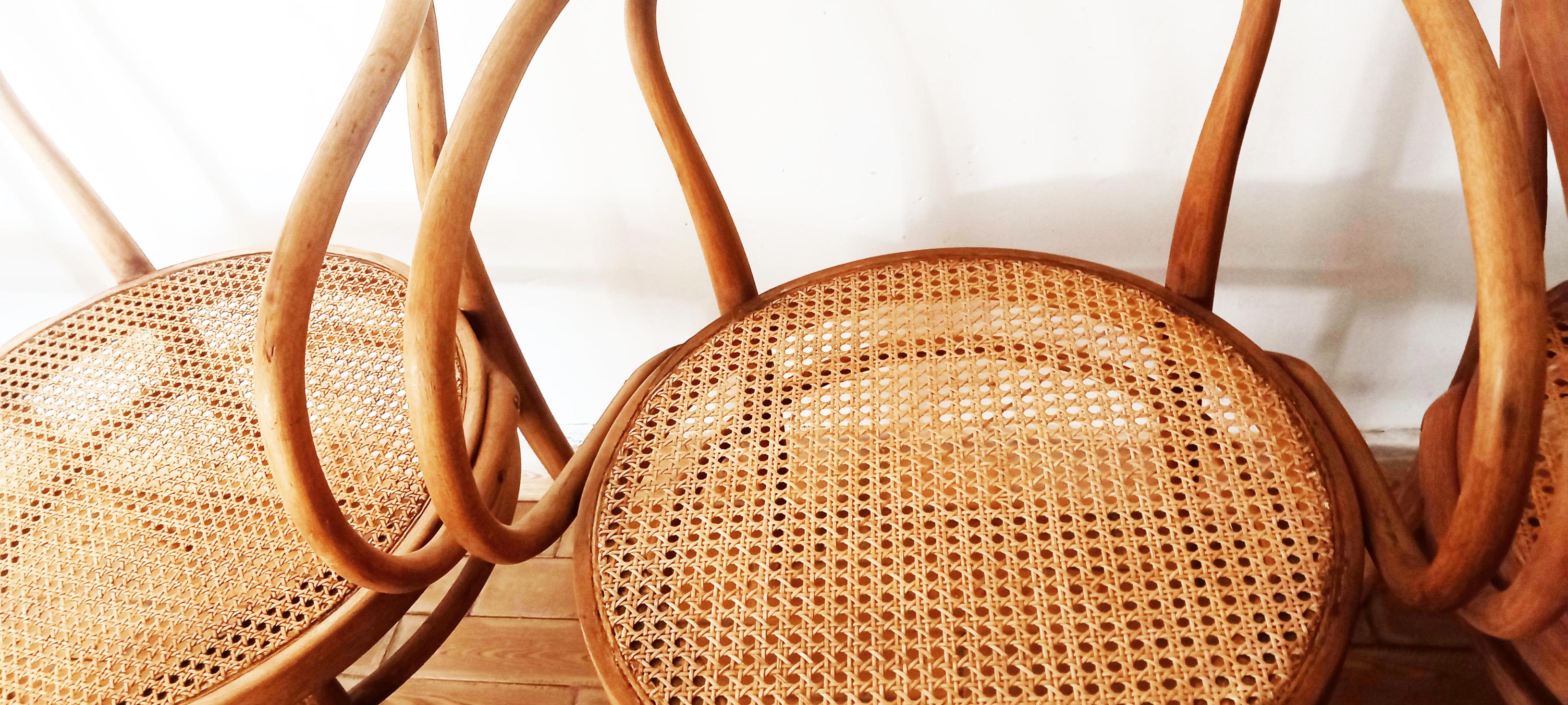 20th Century Six Midcentury Cane Bentwood Chair After Thonet 209, 1950s For Sale