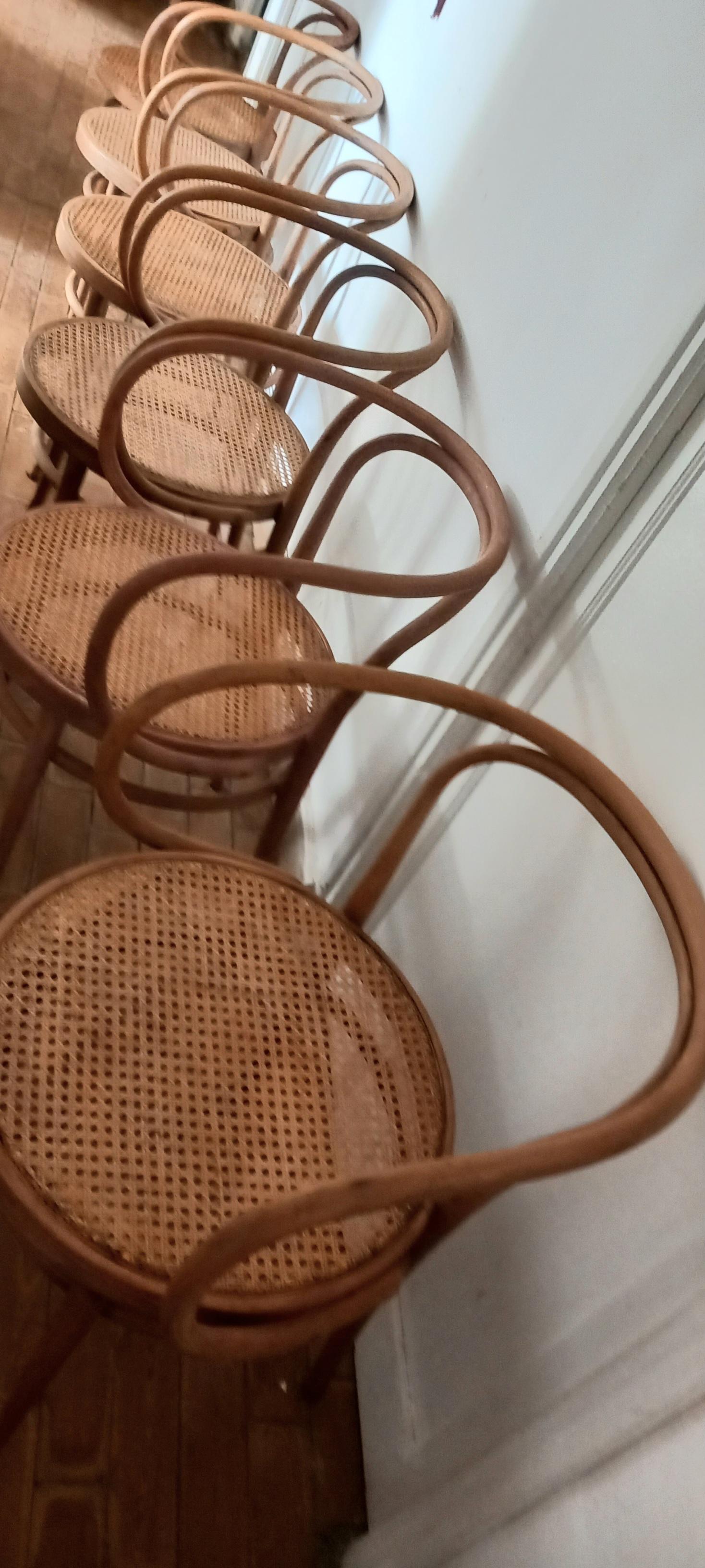 Six Midcentury Cane Bentwood Chair After Thonet 209, 1950s For Sale 1