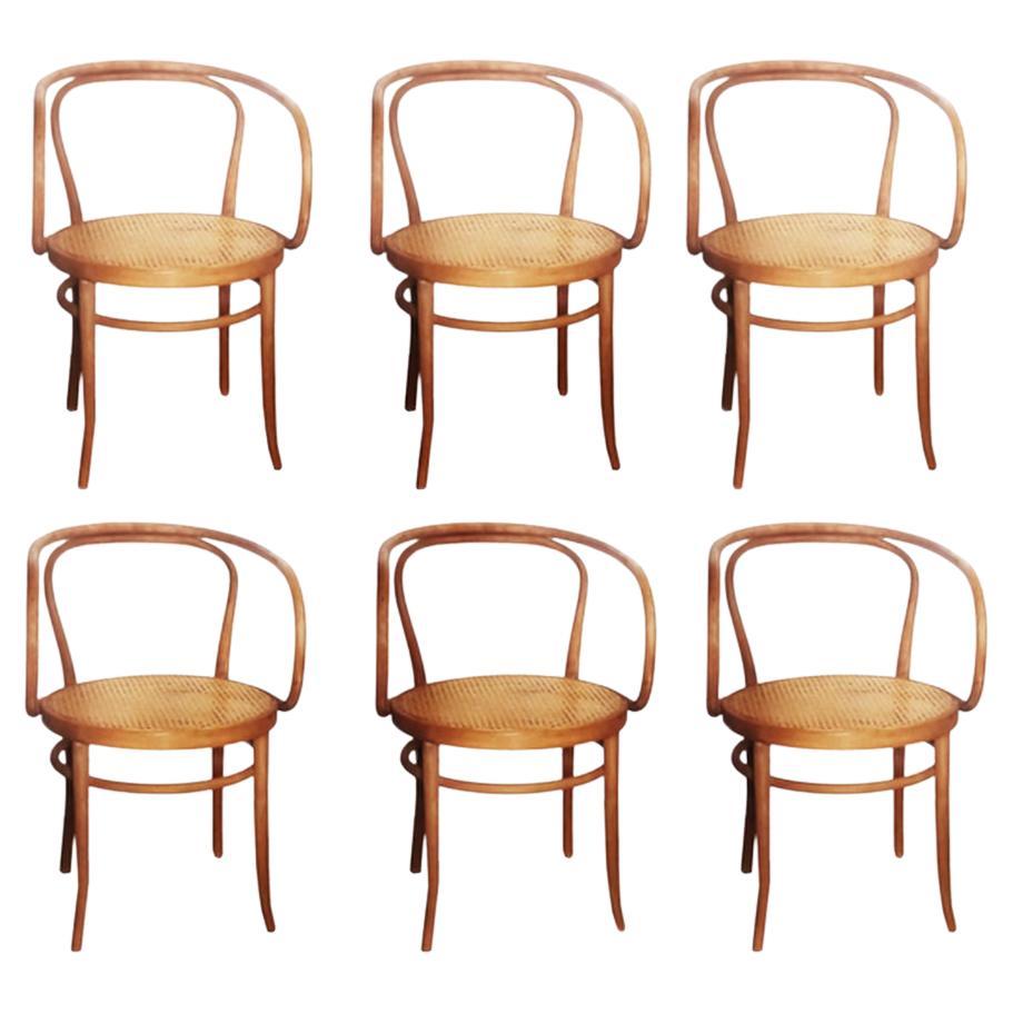 Six Midcentury Cane Bentwood Chair After Thonet 209, 1950s