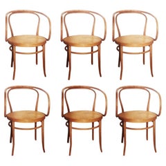 Thonet 209 Bugholzstühle aus Schilfrohr nach Thonet 209, 1950er Jahre