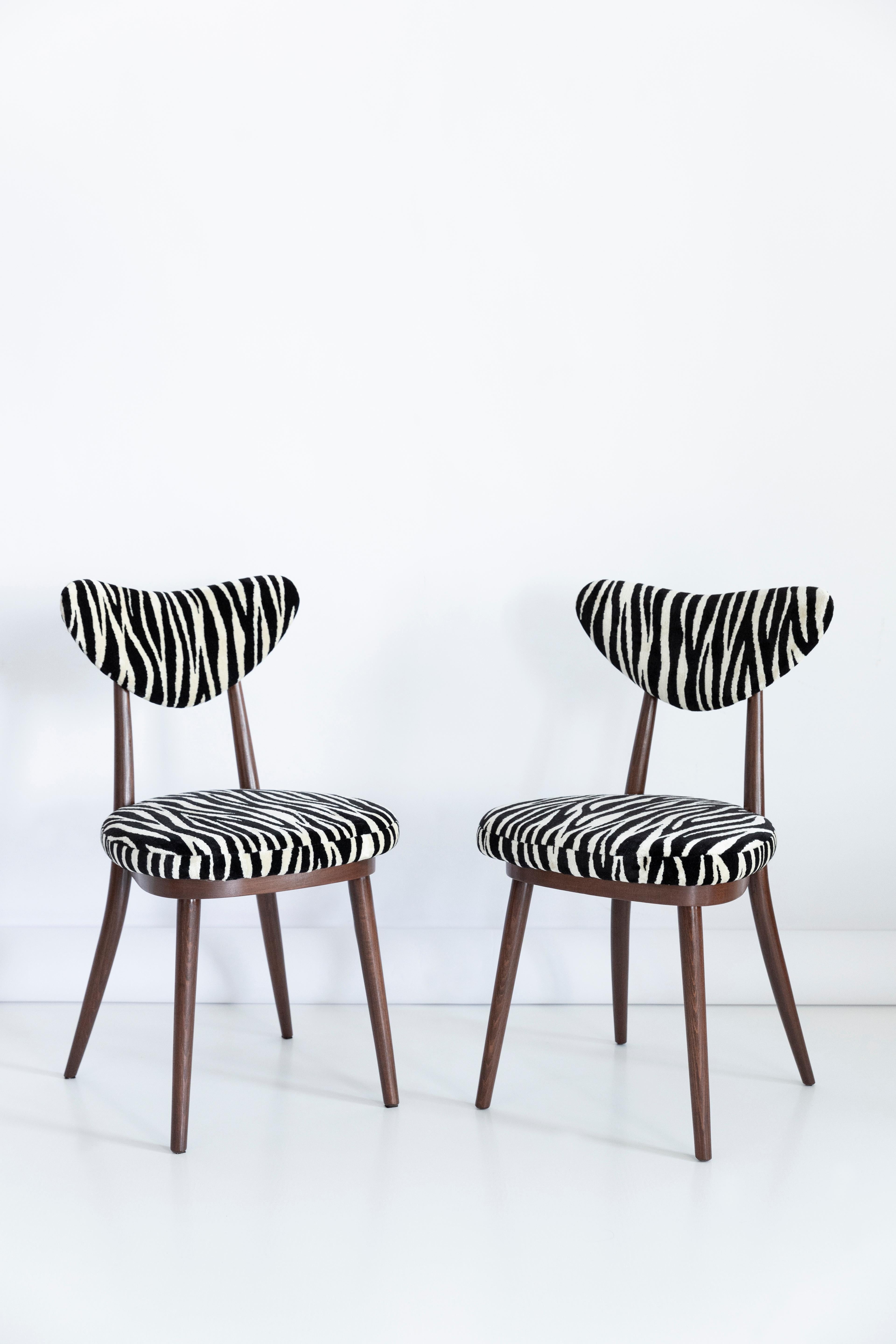 20th Century Six Midcentury Zebra Black White Heart Chairs, Hollywood Regency, Poland, 1960s For Sale