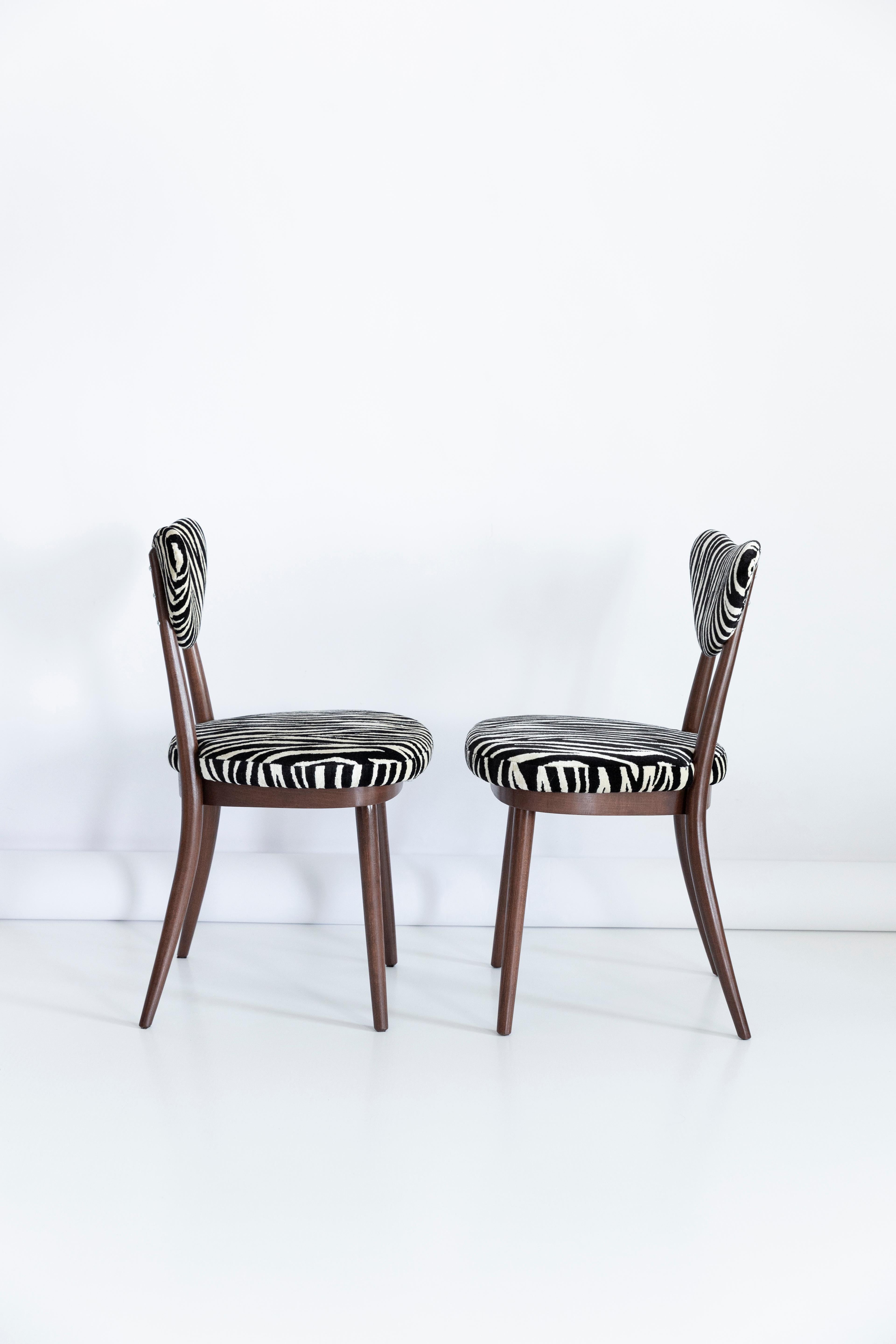Velluto Sei sedie a cuore bianche e nere Zebra del Midcentury, Hollywood Regency, Polonia, anni '60 in vendita