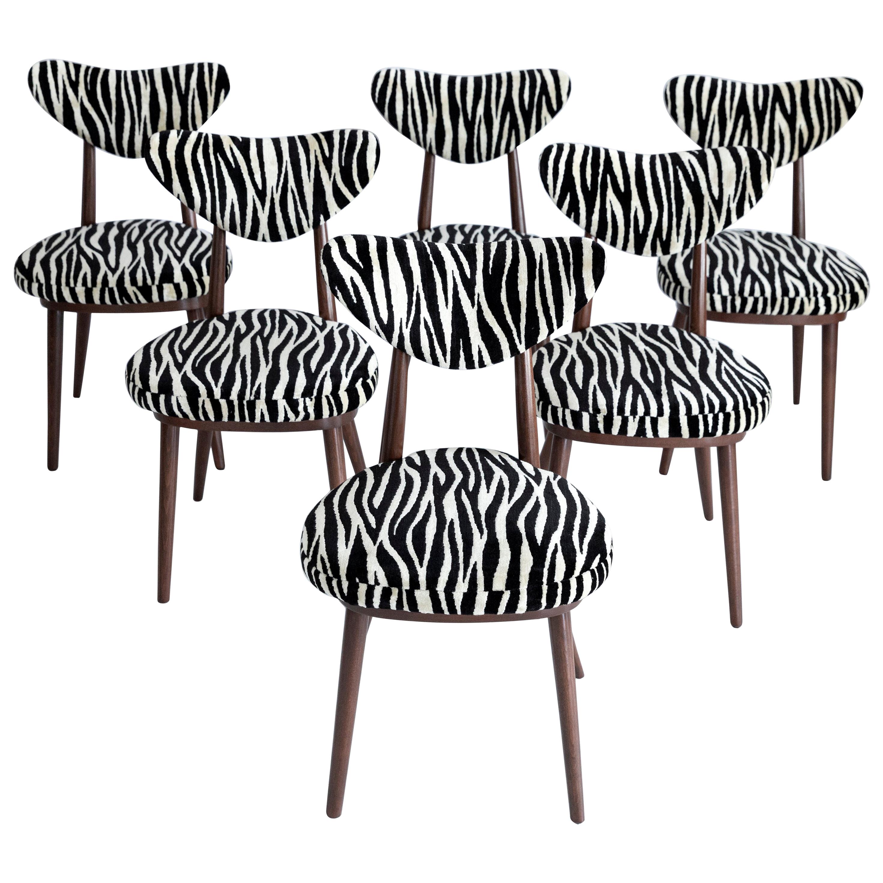 Six Midcentury Zebra Black White Heart Chairs, Hollywood Regency, Poland, 1960s