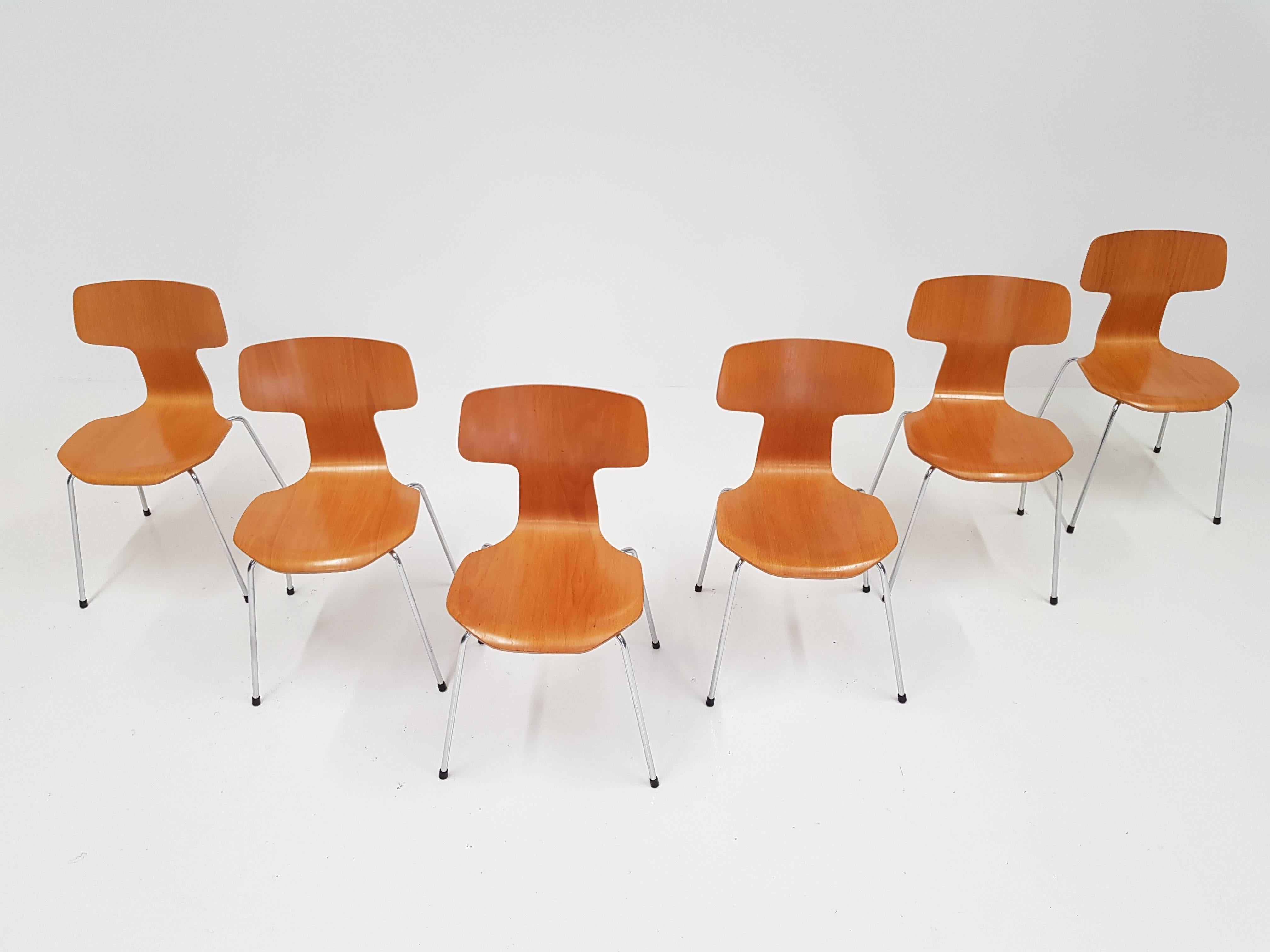 20th Century Six Model 3103 Beech Hammer/T Chairs by Arne Jacobsen for Fritz Hansen