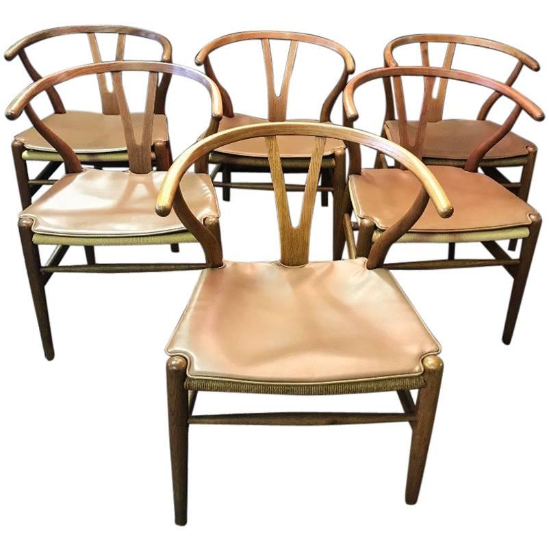 Six Original Hans Wegner Wishbone/ Y 'CH24' Chairs
