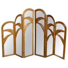 Six-Panel Split Reed Rattan Mirrored Palm Tree Folding Screen