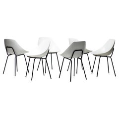 Six Pierre Guariche Coquillage Chairs