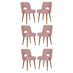 Vintage Six Pink Boucle 'Shell' Chairs, Poland, 1960s