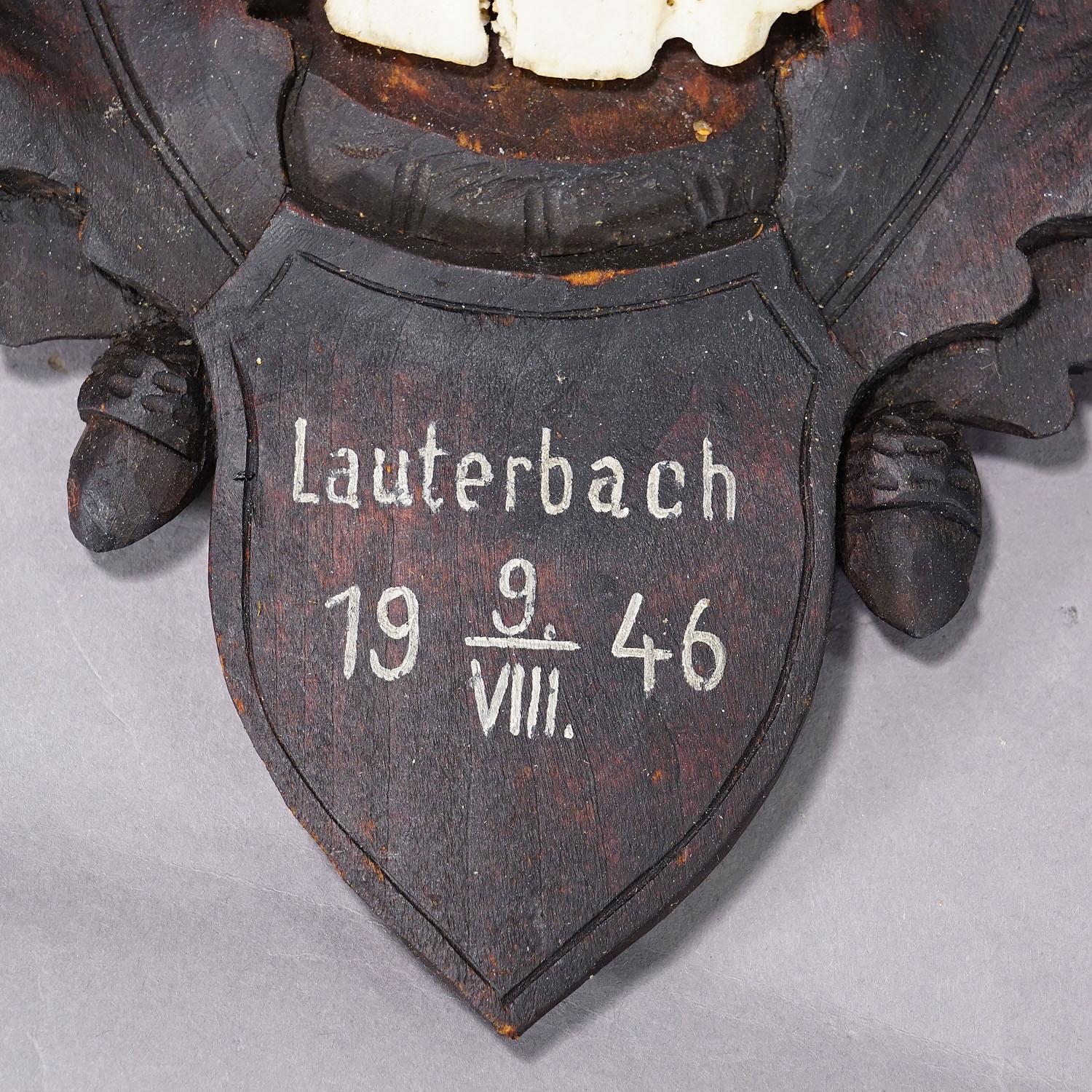 Sculpté Trophée de chevreuil à six pointes Black Forest sur plaque sculptée 1946 en vente
