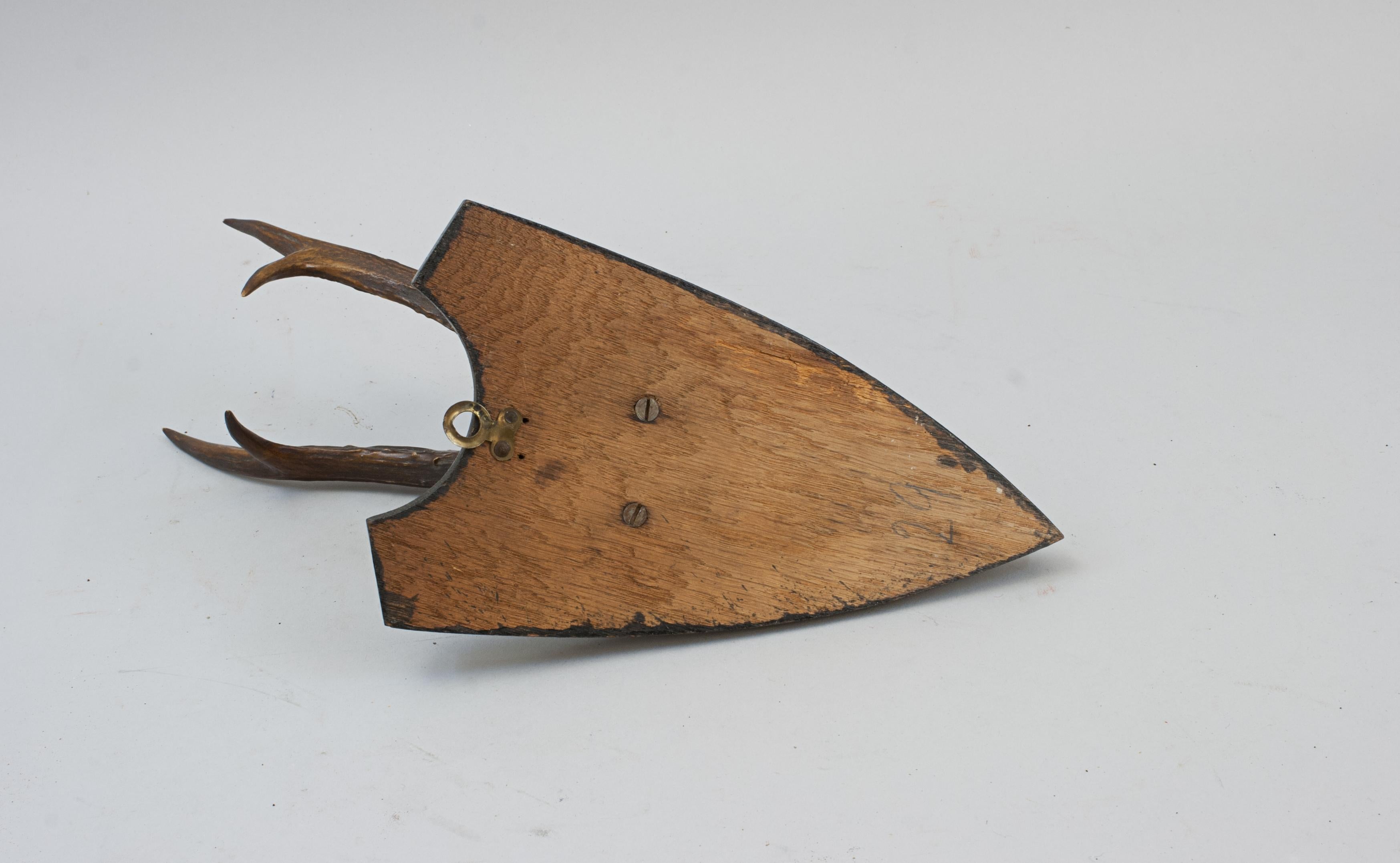 Six Roe Deer Antlers On Wooden Shields For Sale 12
