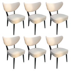 Seis sillas de comedor Shell, terciopelo beige claro, Estudio Vintola, Europa, Polonia