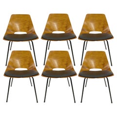 Six “Tonneau” chairs by Pierre Guariche, Editions Steiner, France, circa 1954