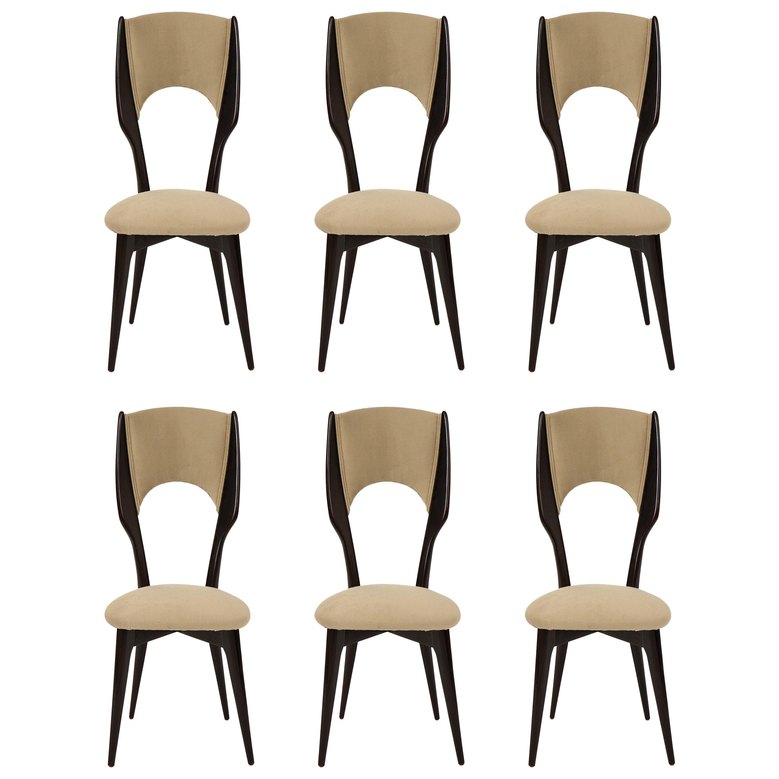 Six Vintage Borsani Style Dining Chairs Beige Cashmere Fabric, Italy, 1950s