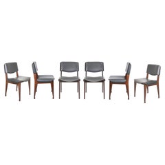 Six Vintage Chairs Wood and Leather by Gio Ponti for MIM, 1950s