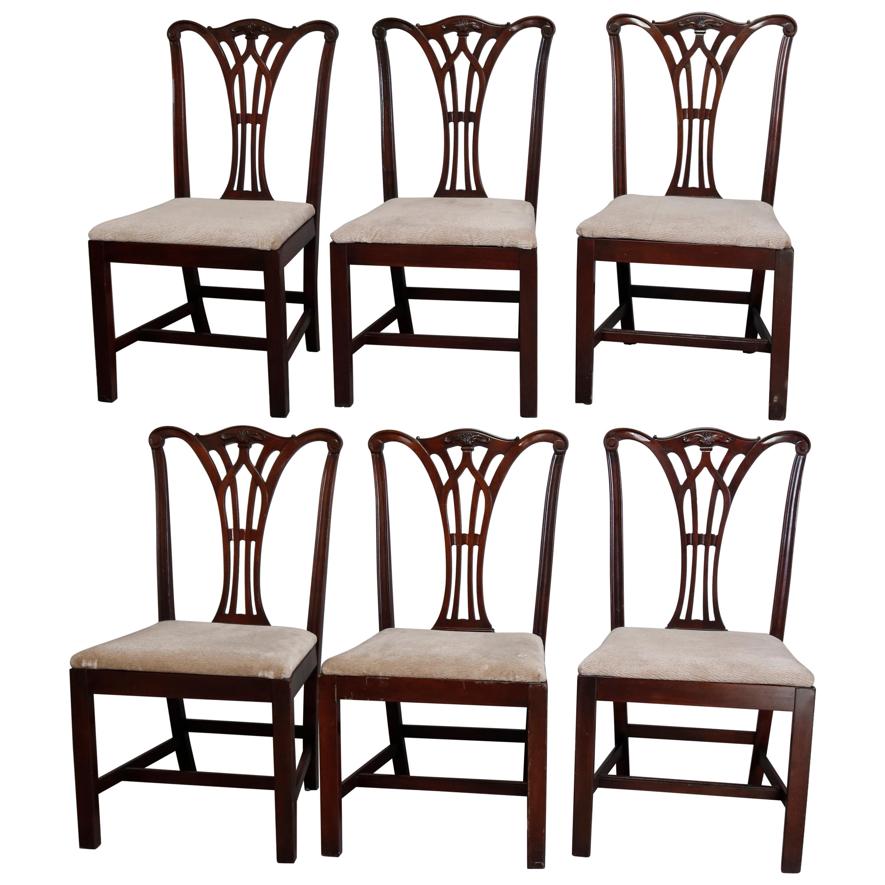 Six Vintage Chippendale Style Carved Mahogany Ribbon Back Dining Chairs