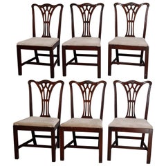 Six Vintage Chippendale Style Carved Mahogany Ribbon Back Dining Chairs