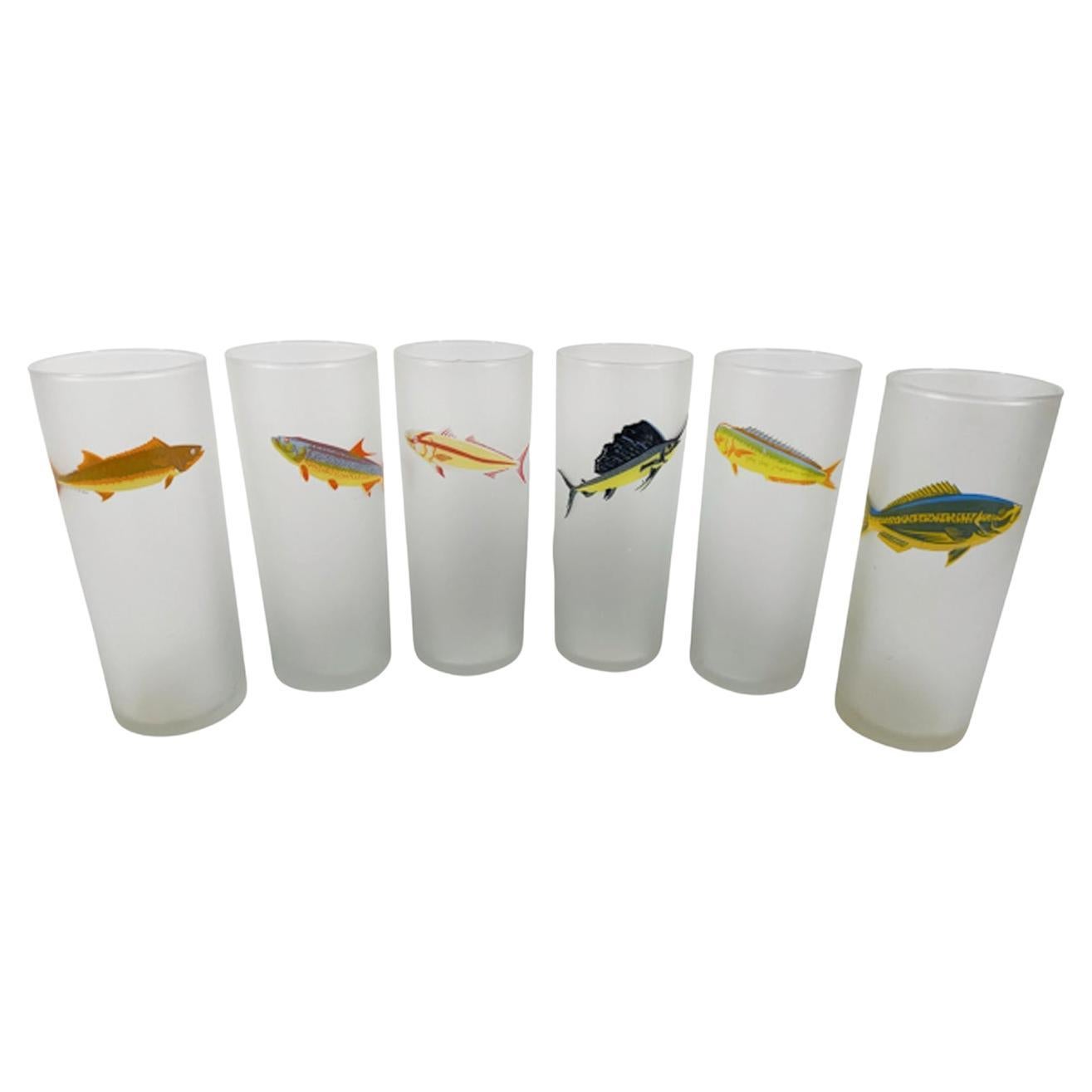 Six Vintage Libbey Glass Tom Collins Glasses Each with a Different Game Fish For Sale