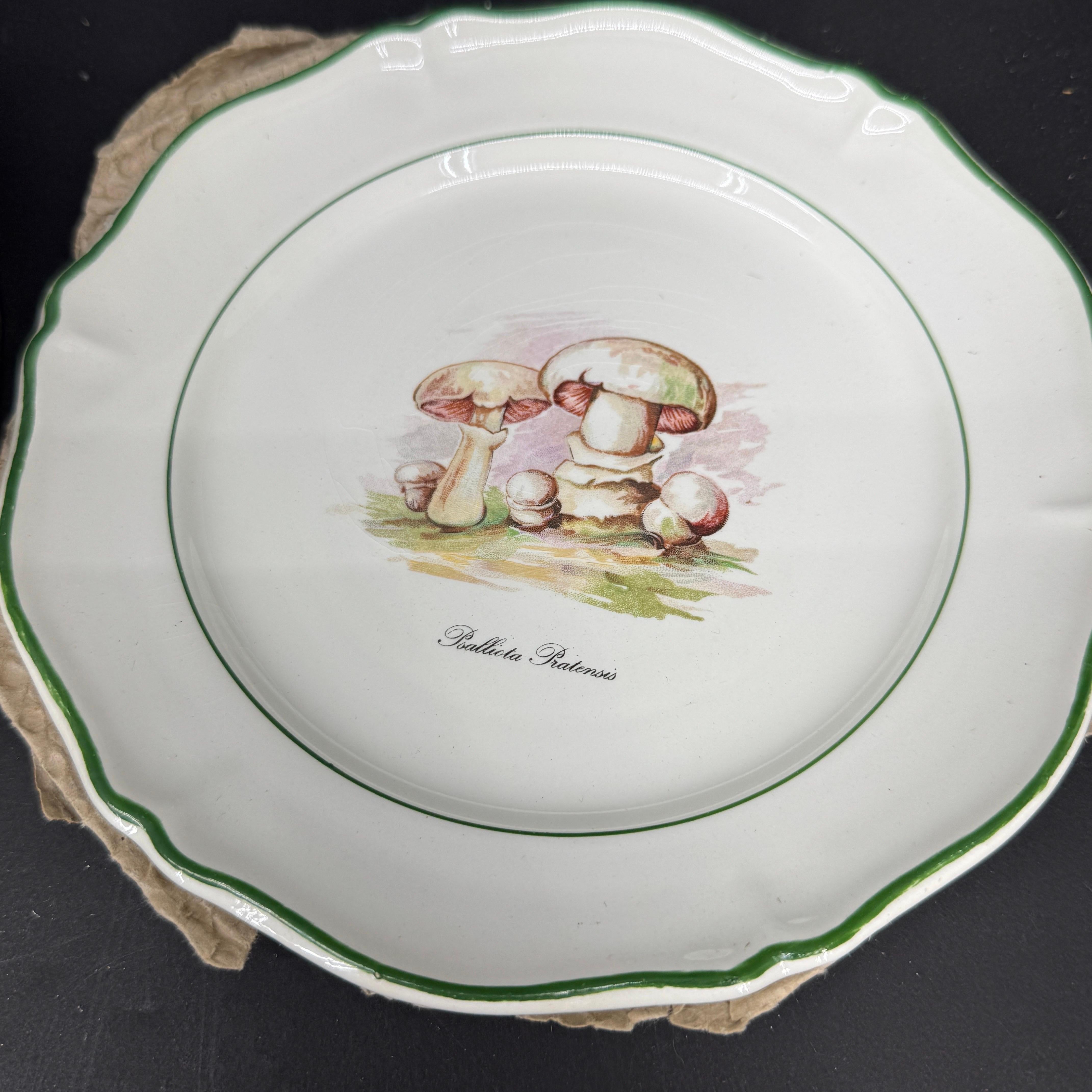 Six Vintage Saint Amand French Mushroom Porcelain Plates, a Set For Sale 3