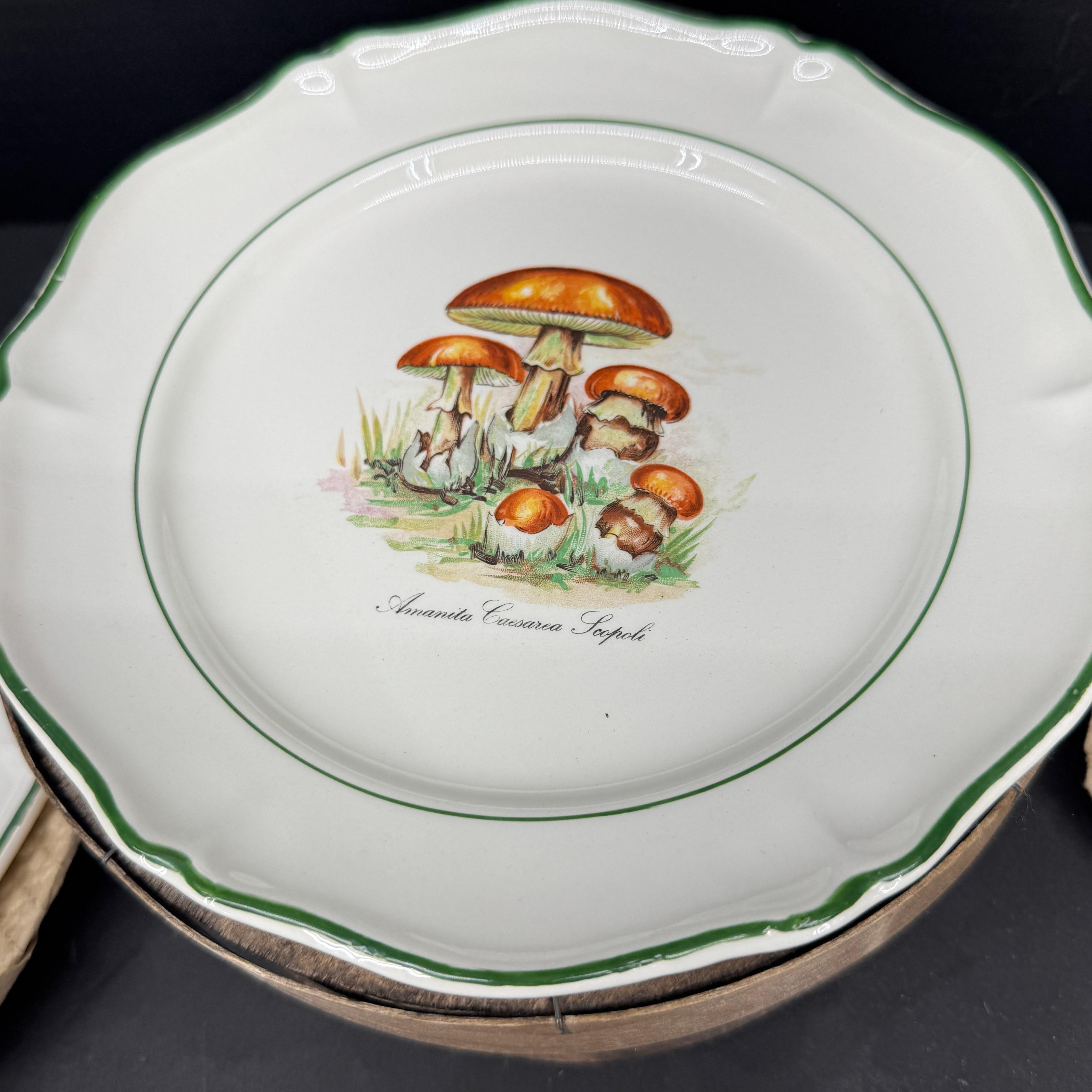 Six Vintage Saint Amand French Mushroom Porcelain Plates, a Set For Sale 4